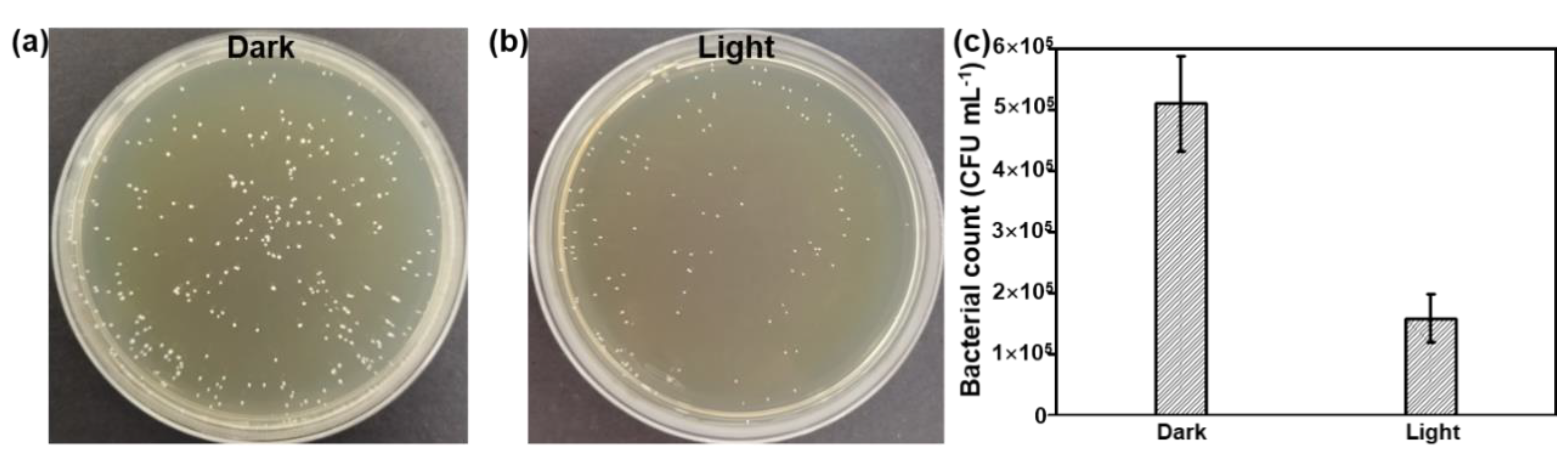 Nanomaterials 12 03911 g006