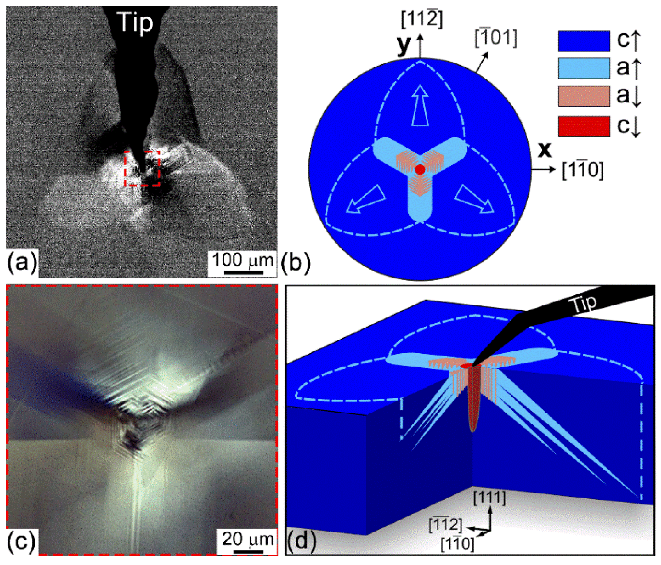 Nanomaterials | Free Full-Text | Competition between Ferroelectric Nanomaterials | Free Full-Text | Competition between Ferroelectric