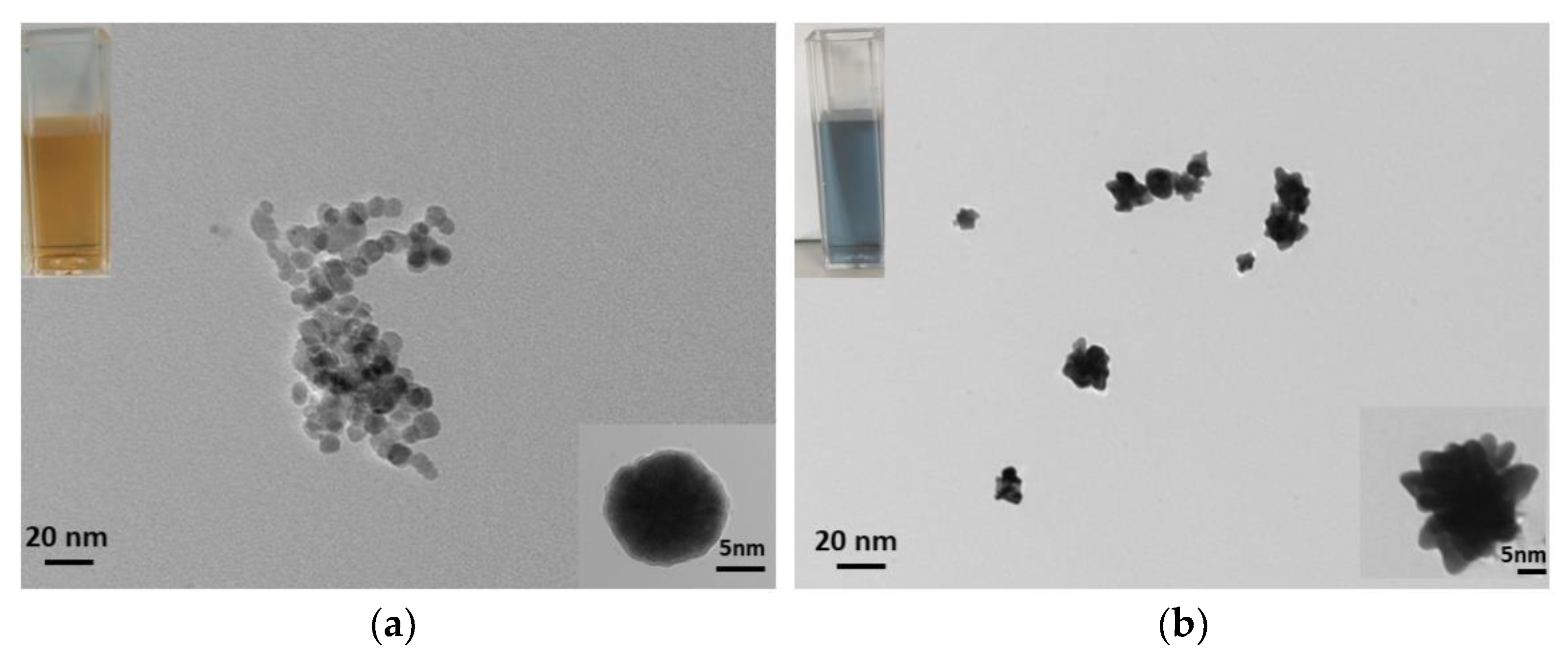 Nanomaterials 12 03917 g003 Nanomaterials 12 03917 g003
