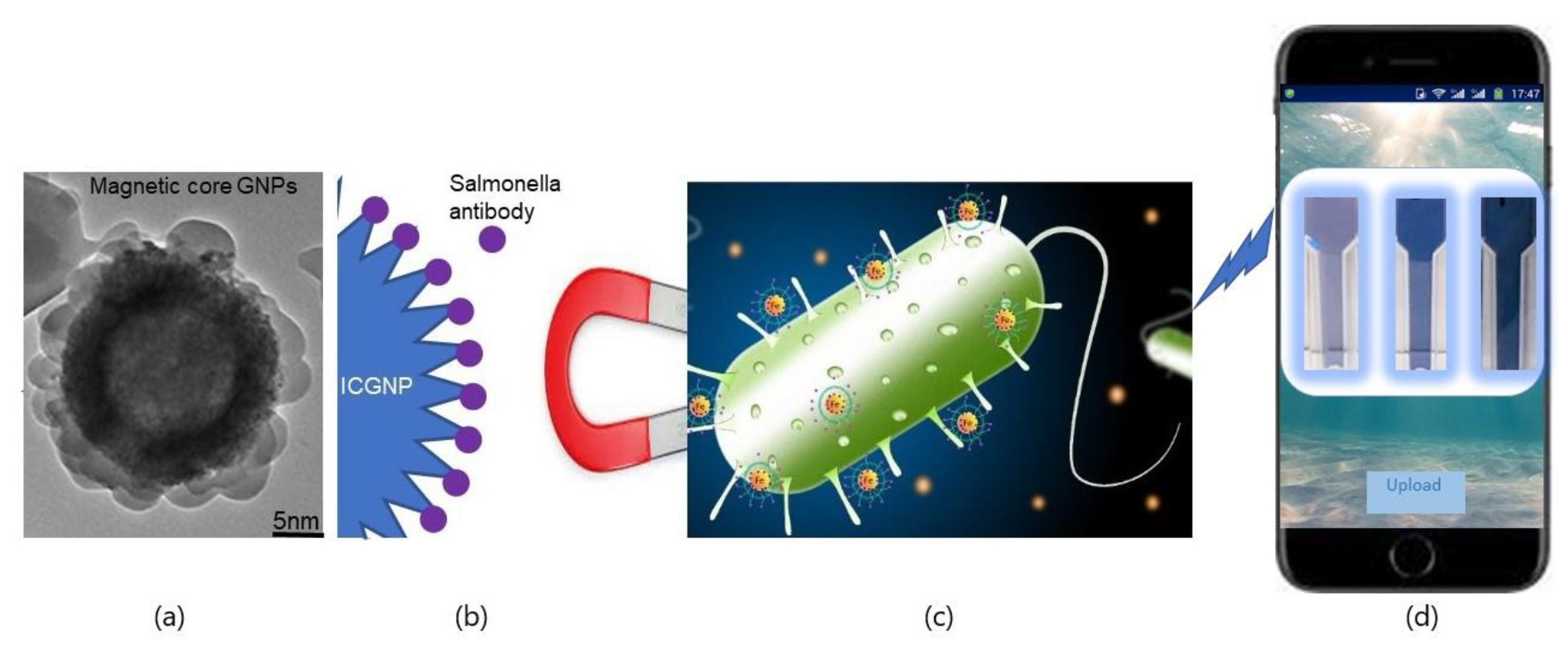 Nanomaterials 12 03917 g007 Nanomaterials 12 03917 g007
