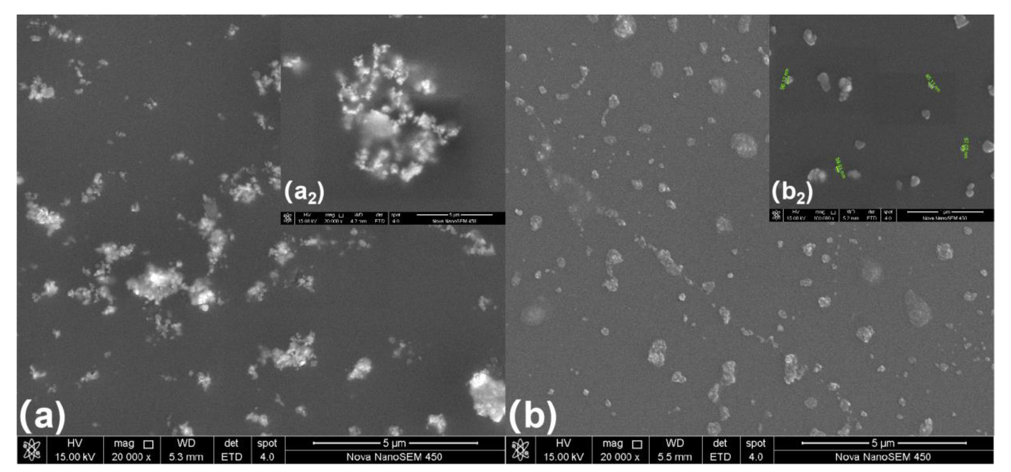 Nanomaterials 12 03920 g006 Nanomaterials 12 03920 g006