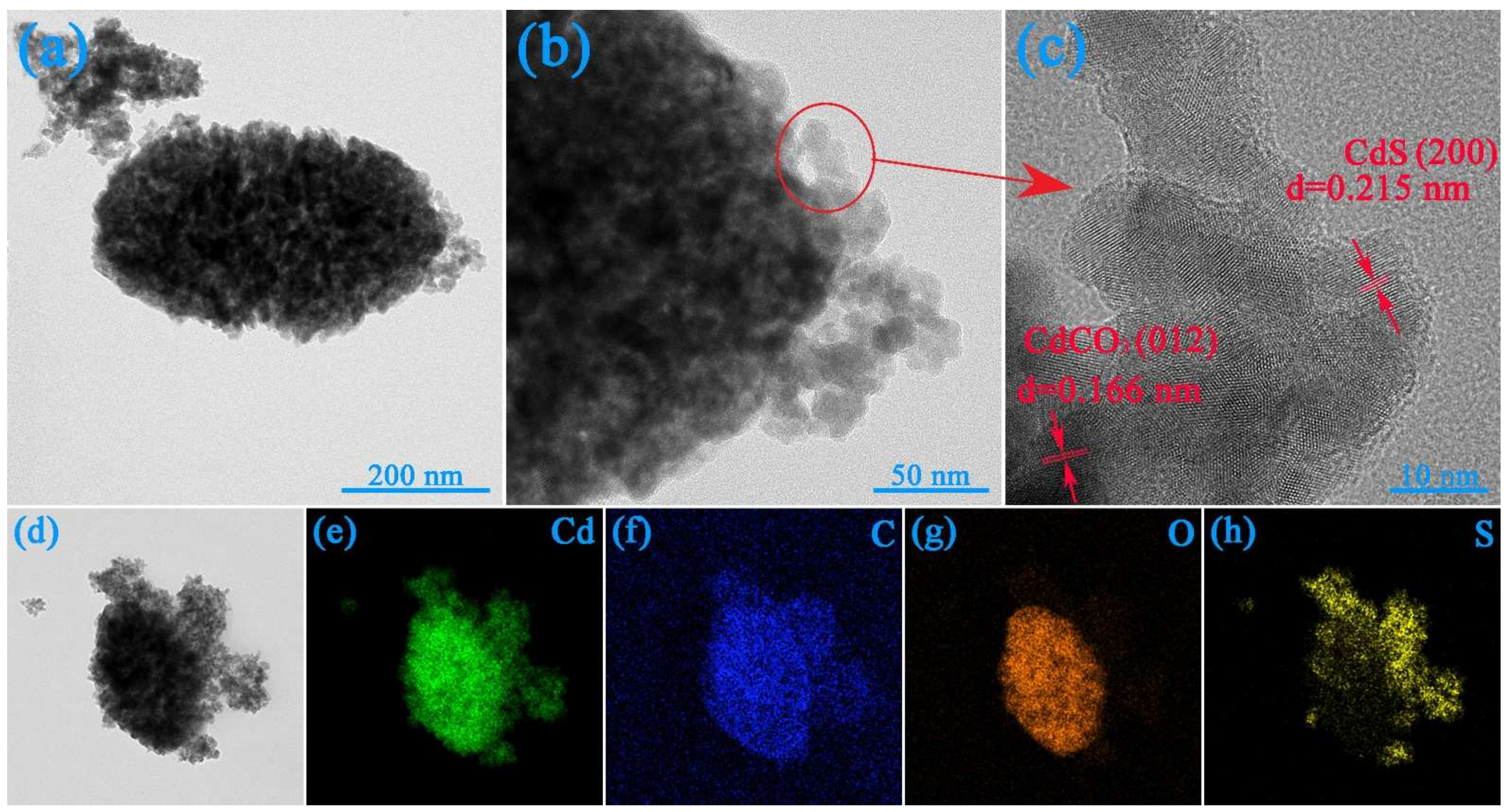 Nanomaterials 12 03923 g003
