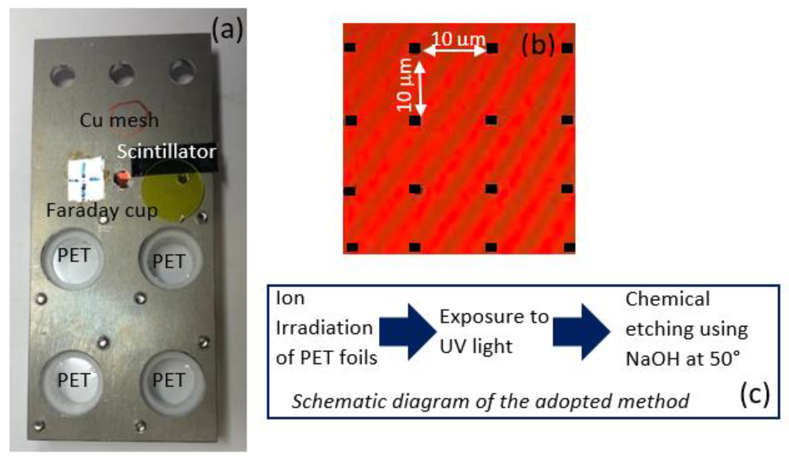 Nanomaterials 12 03927 g001