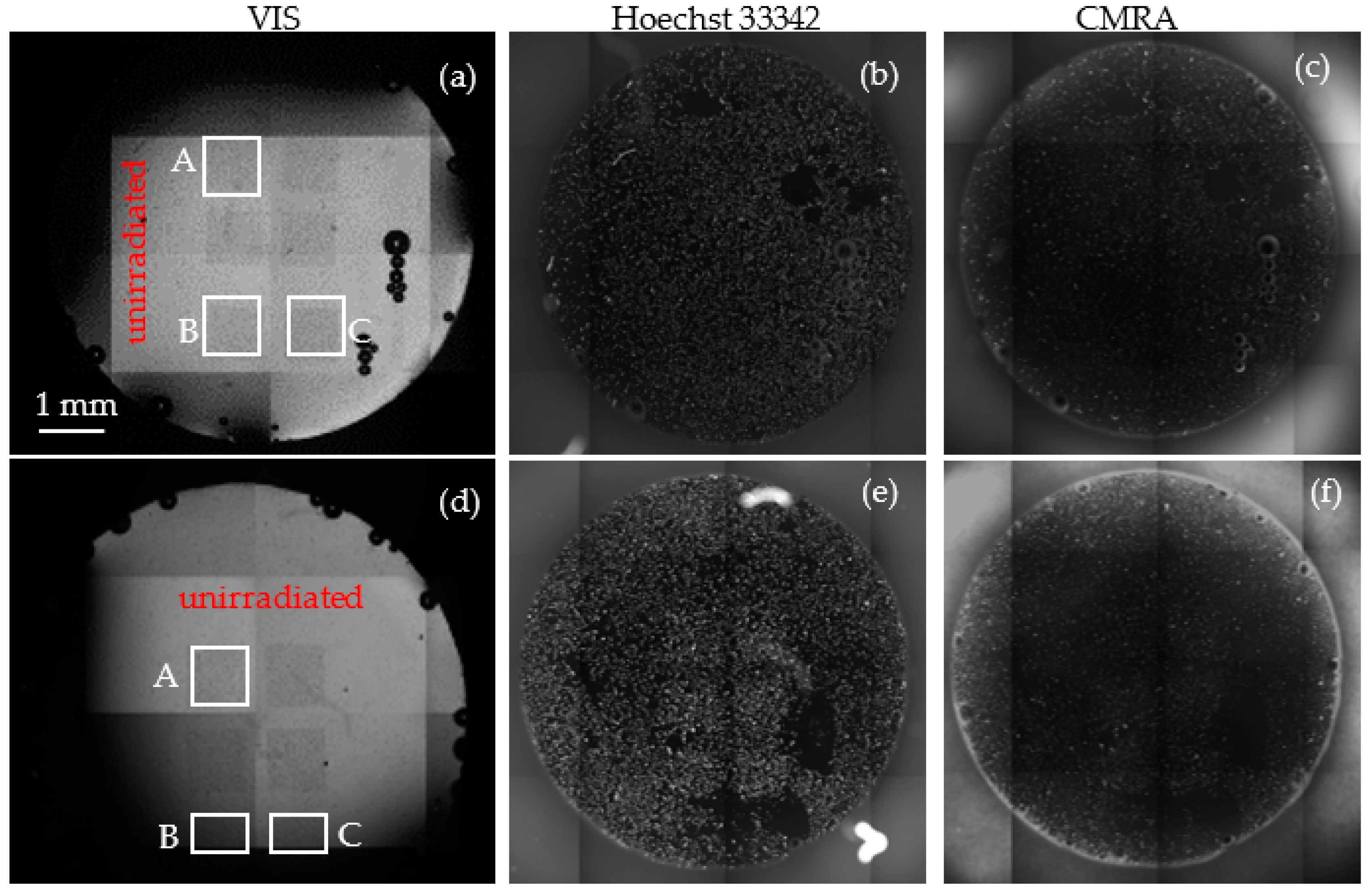 Nanomaterials 12 03927 g008
