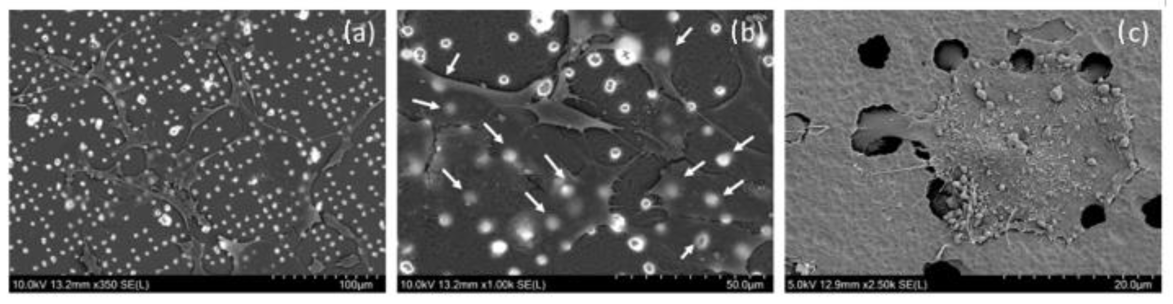 Nanomaterials 12 03927 g009
