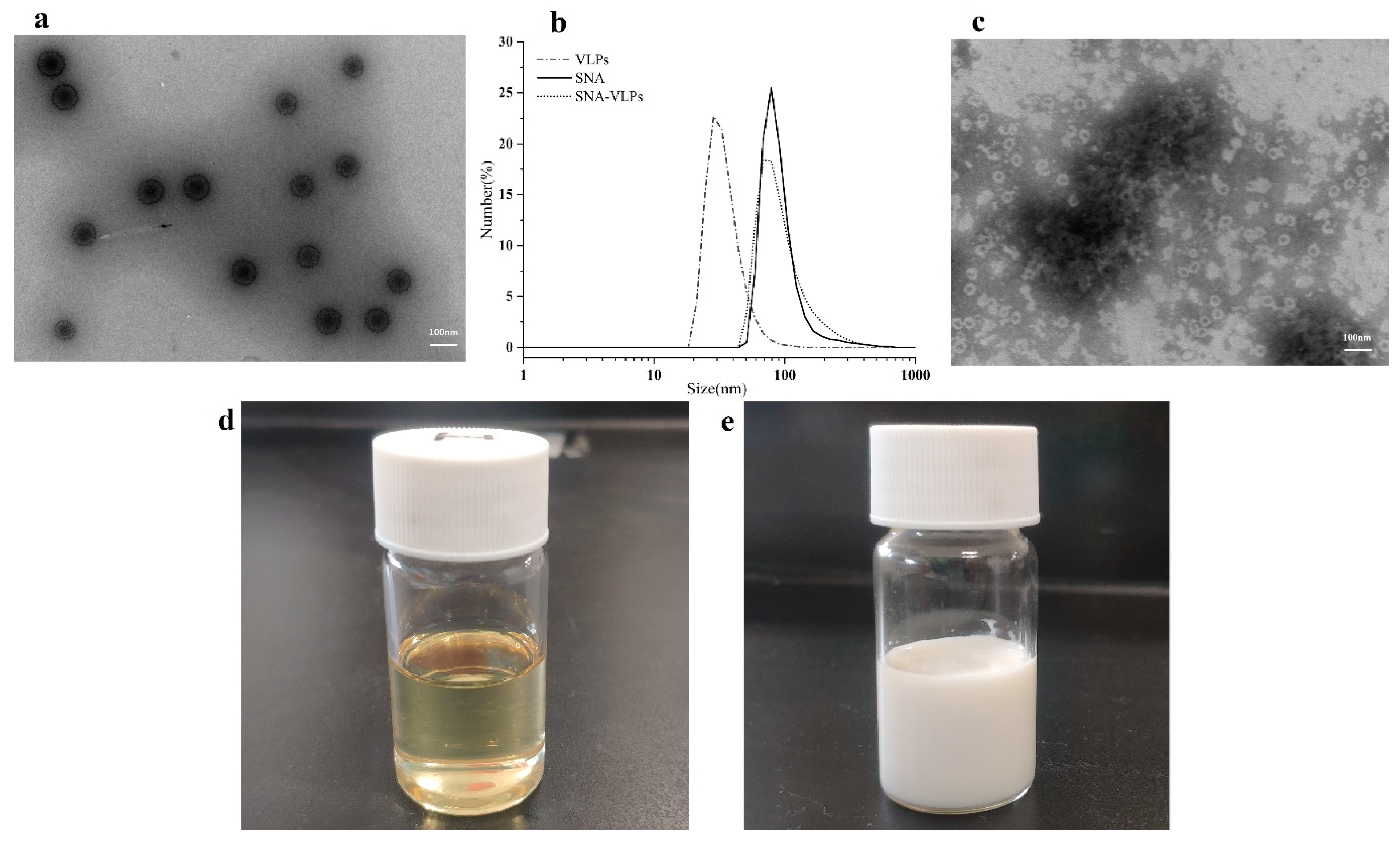 Nanomaterials 12 03934 g003