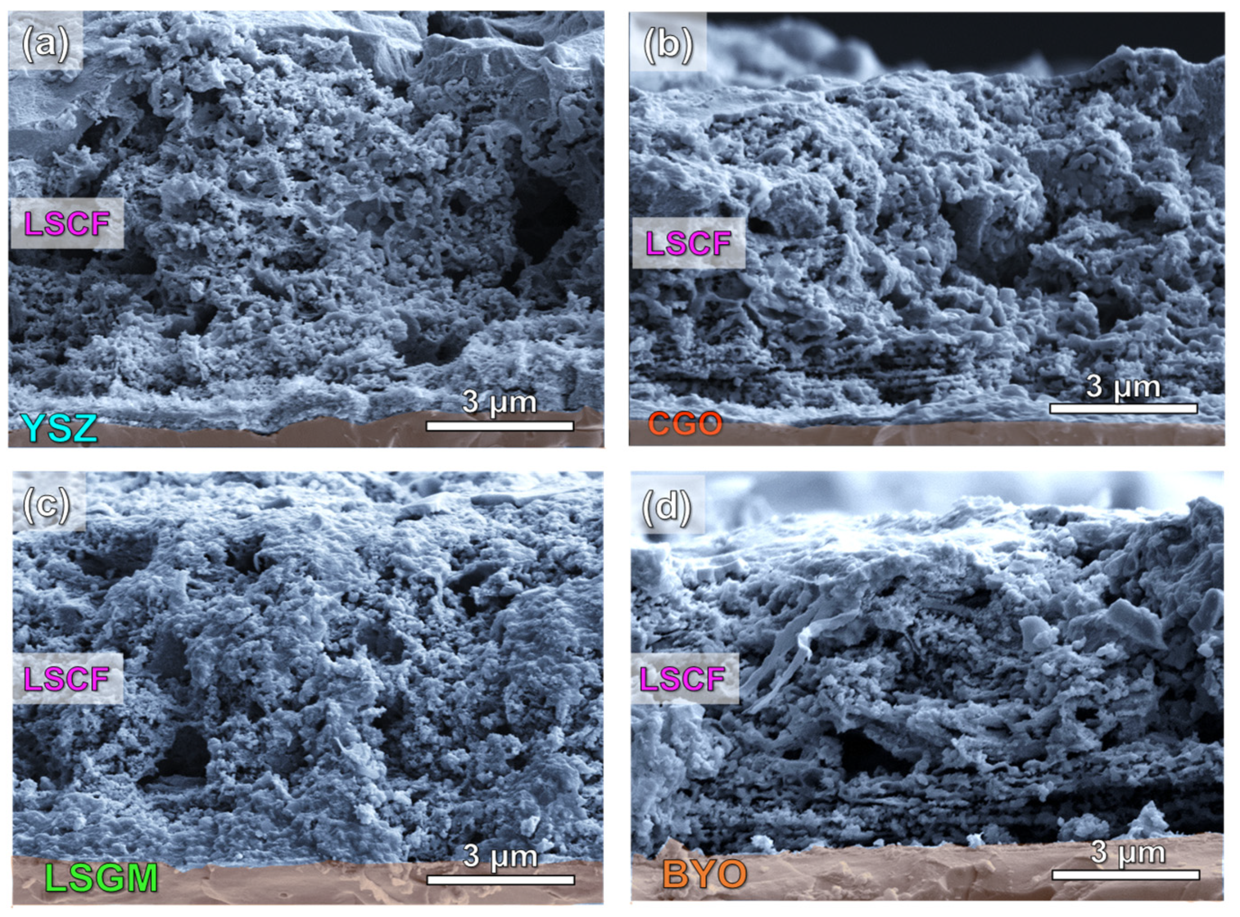 Nanomaterials 12 03936 g002