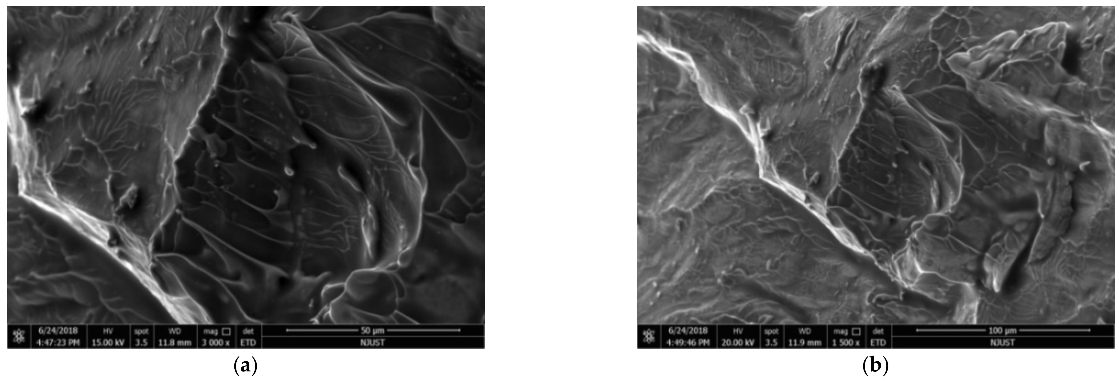 Nanomaterials 12 03947 g013