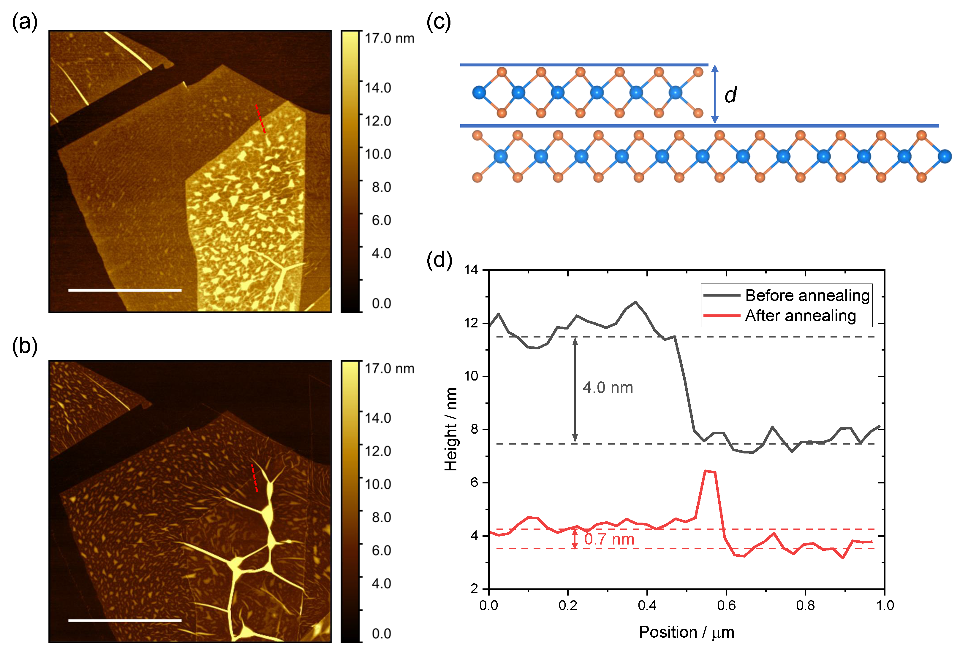 Nanomaterials 12 03949 g003 Nanomaterials 12 03949 g003