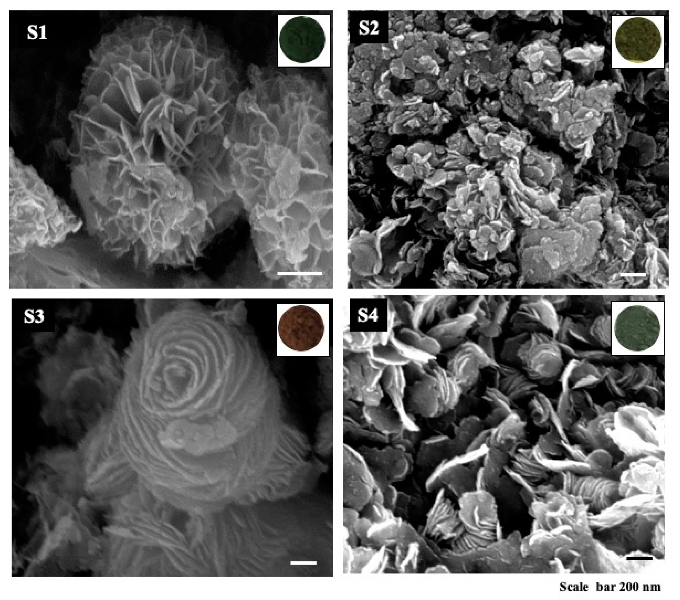 Nanomaterials 12 03950 g005