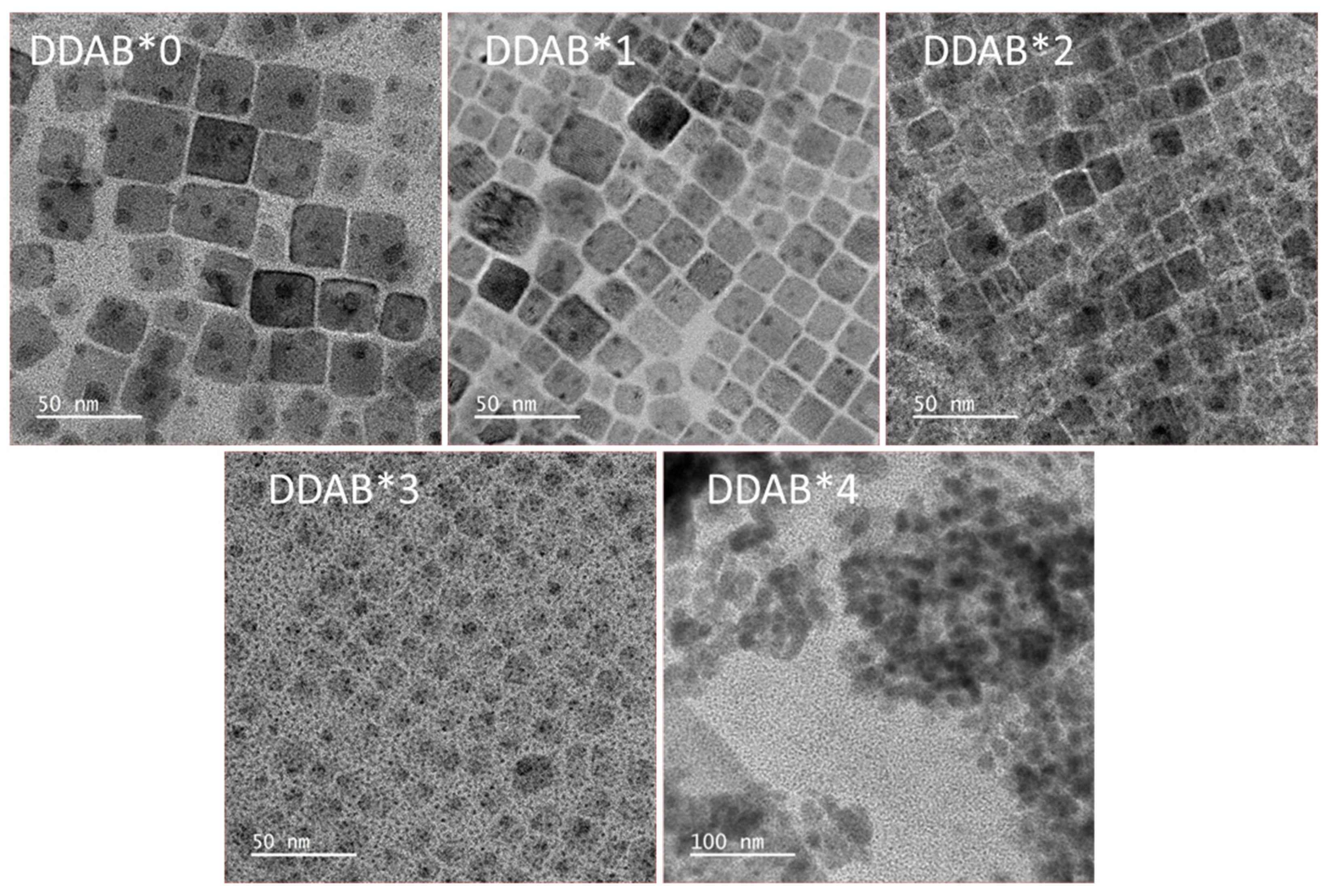 Nanomaterials 12 03957 g002