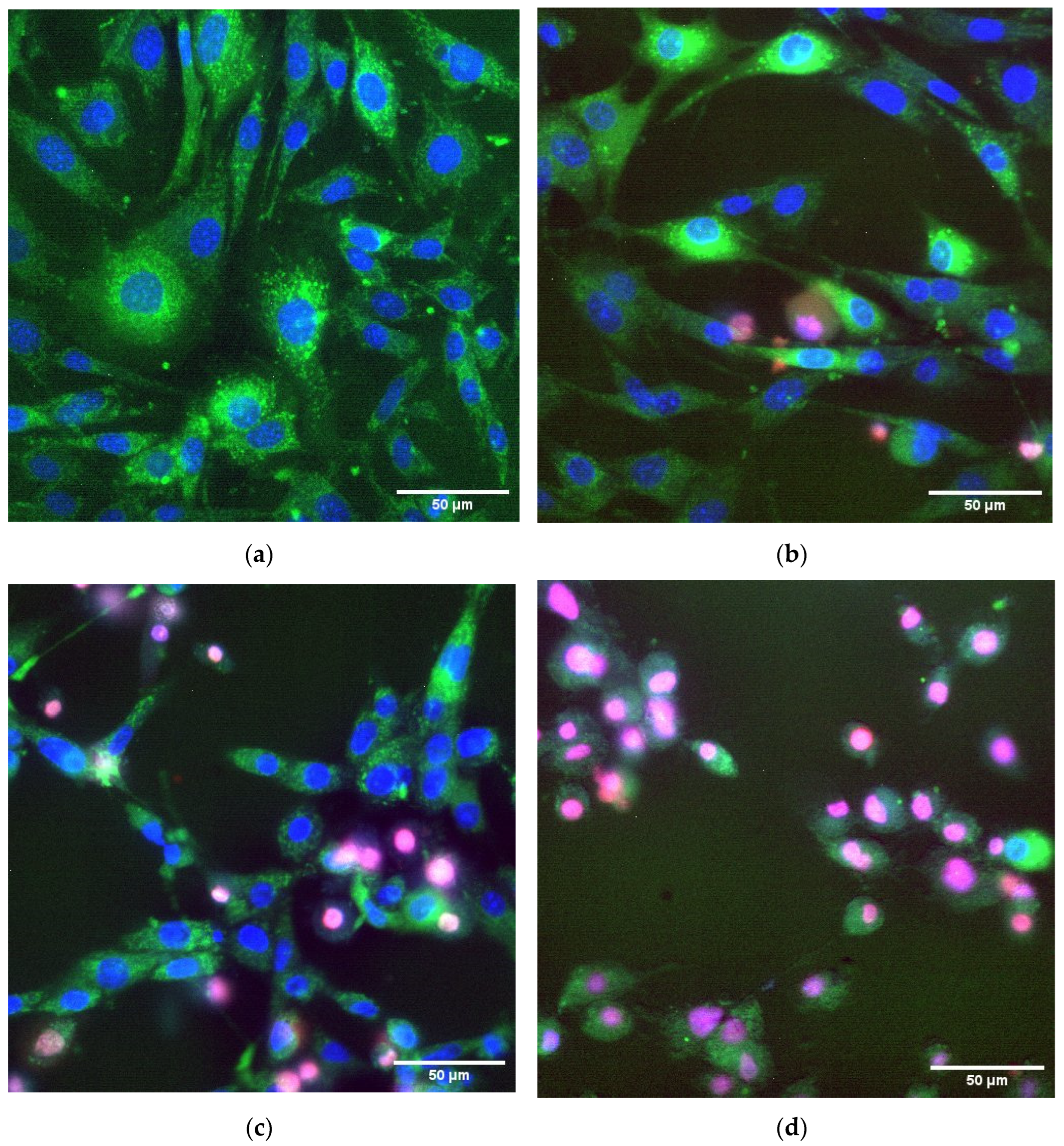 Nanomaterials 12 03960 g009