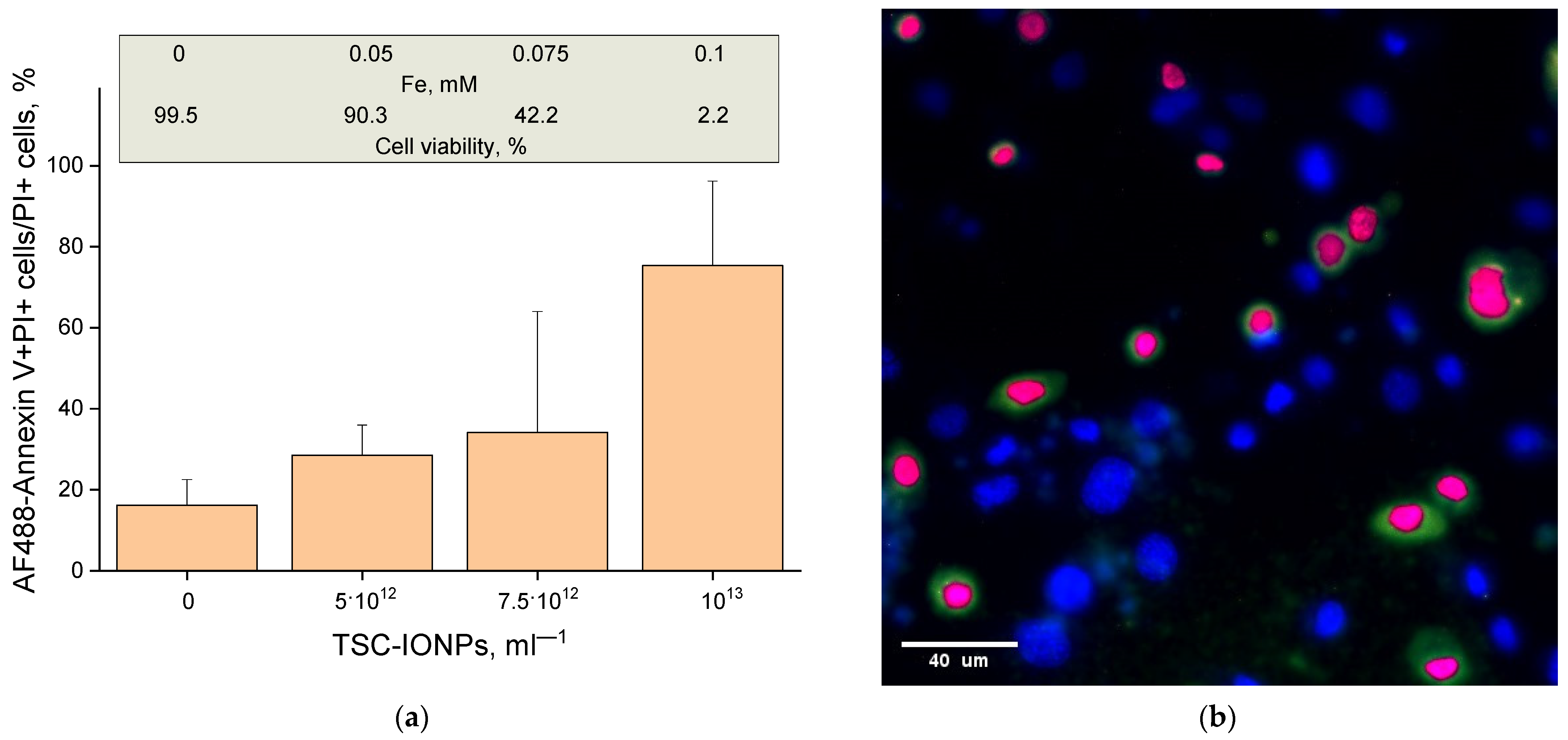 Nanomaterials 12 03960 g010
