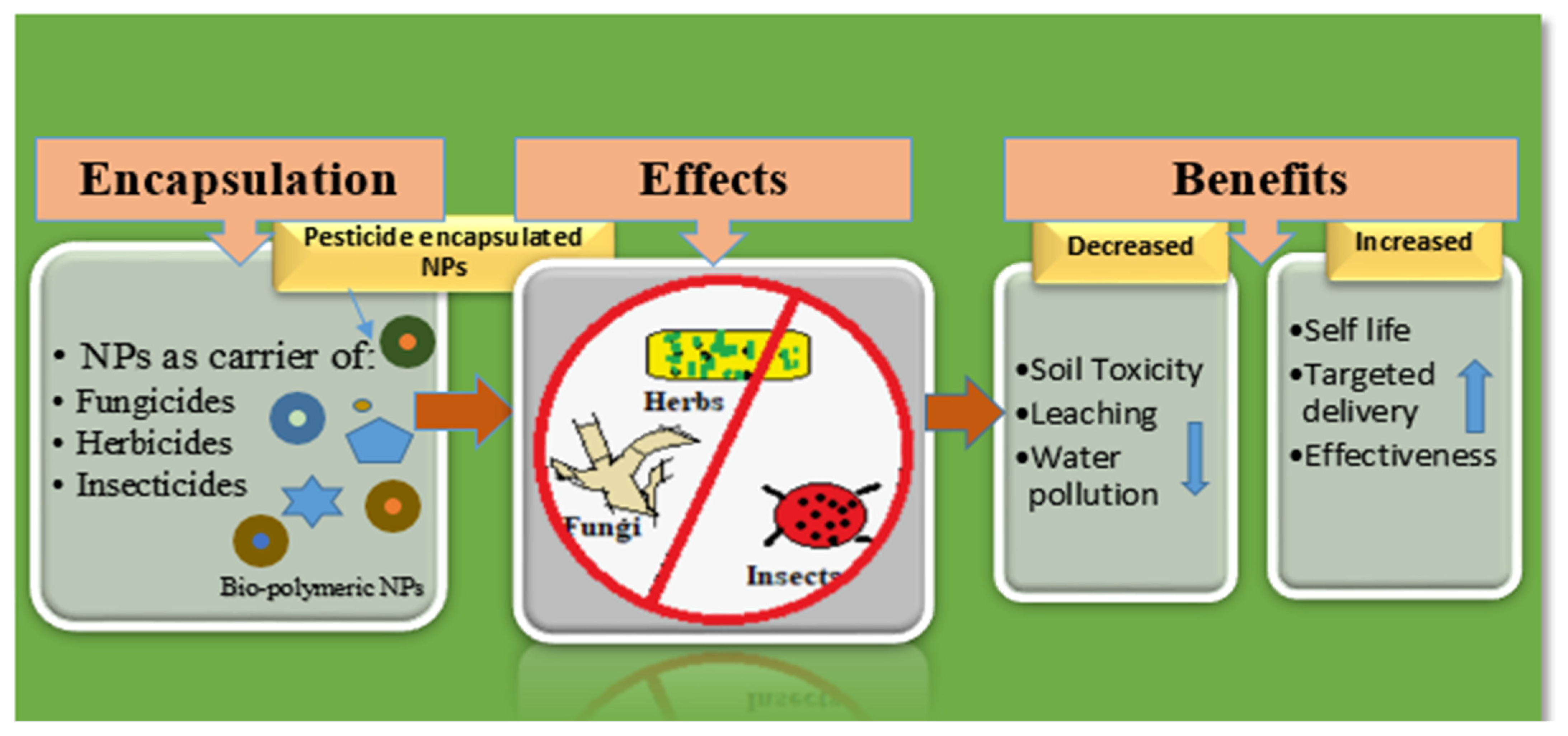 Advances in Biopolymeric Nanopesticides: A New Eco-Friendly
