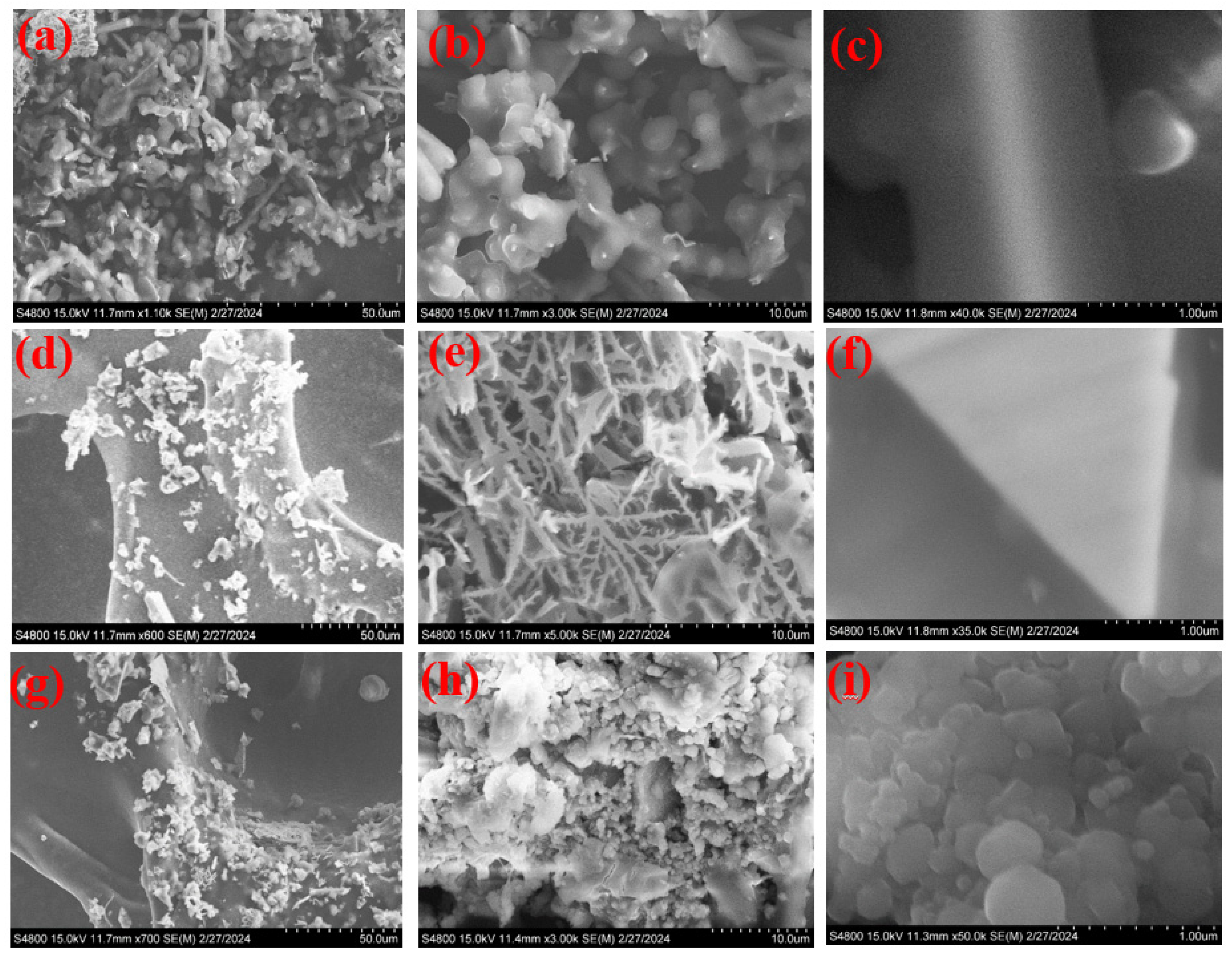 Nanomaterials 12 03982 g002 Nanomaterials 12 03982 g002