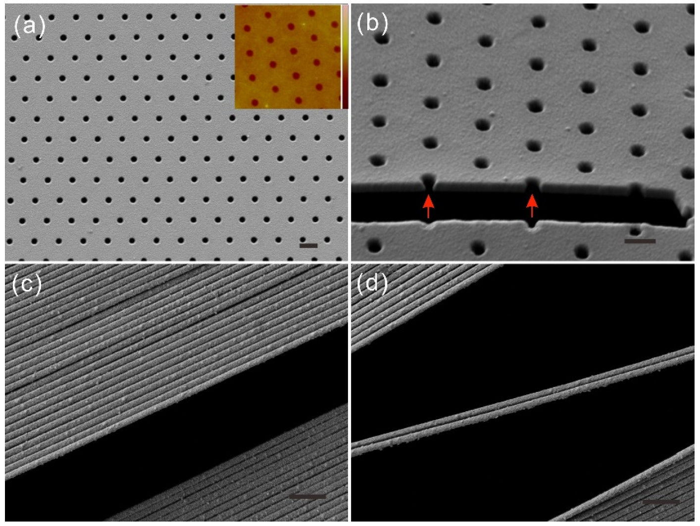 Nanomaterials 12 03988 g002