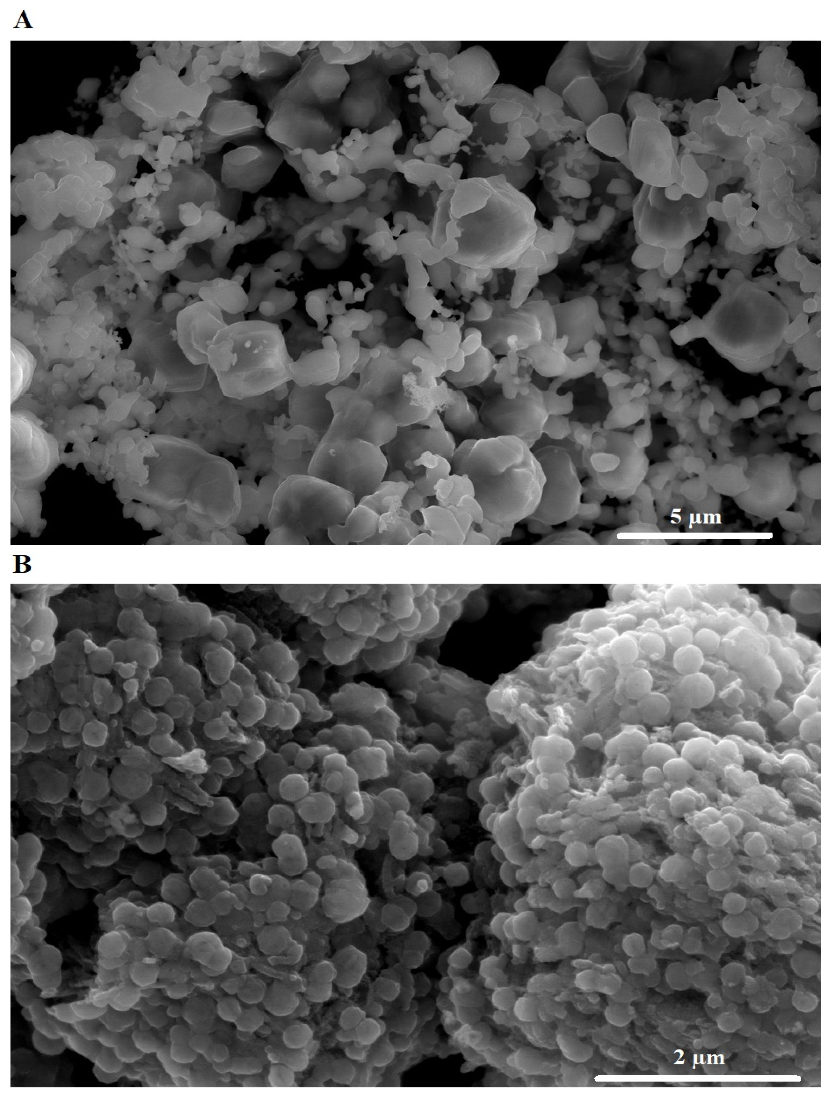 Nanomaterials 12 03992 g004