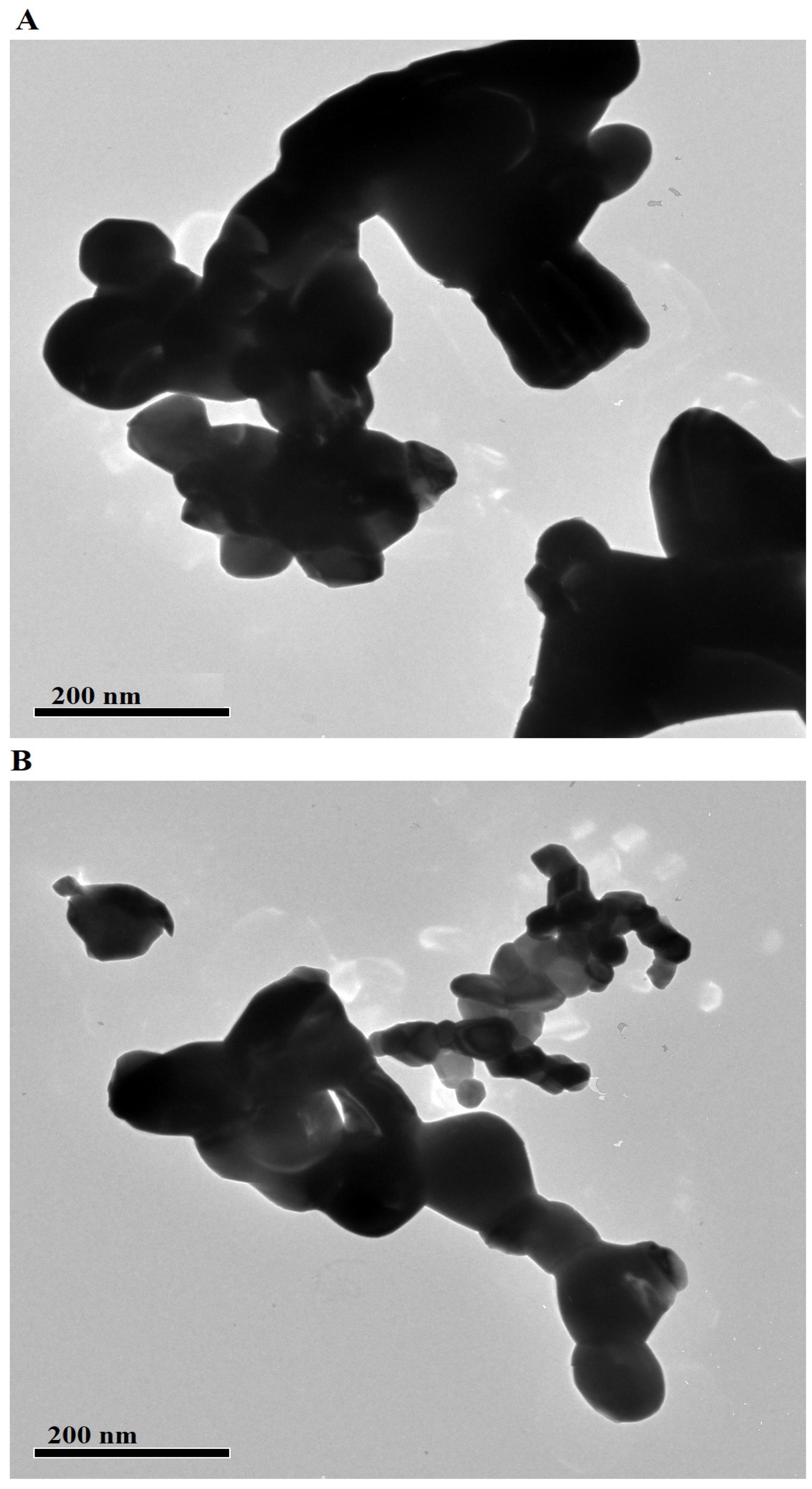 Nanomaterials 12 03992 g005