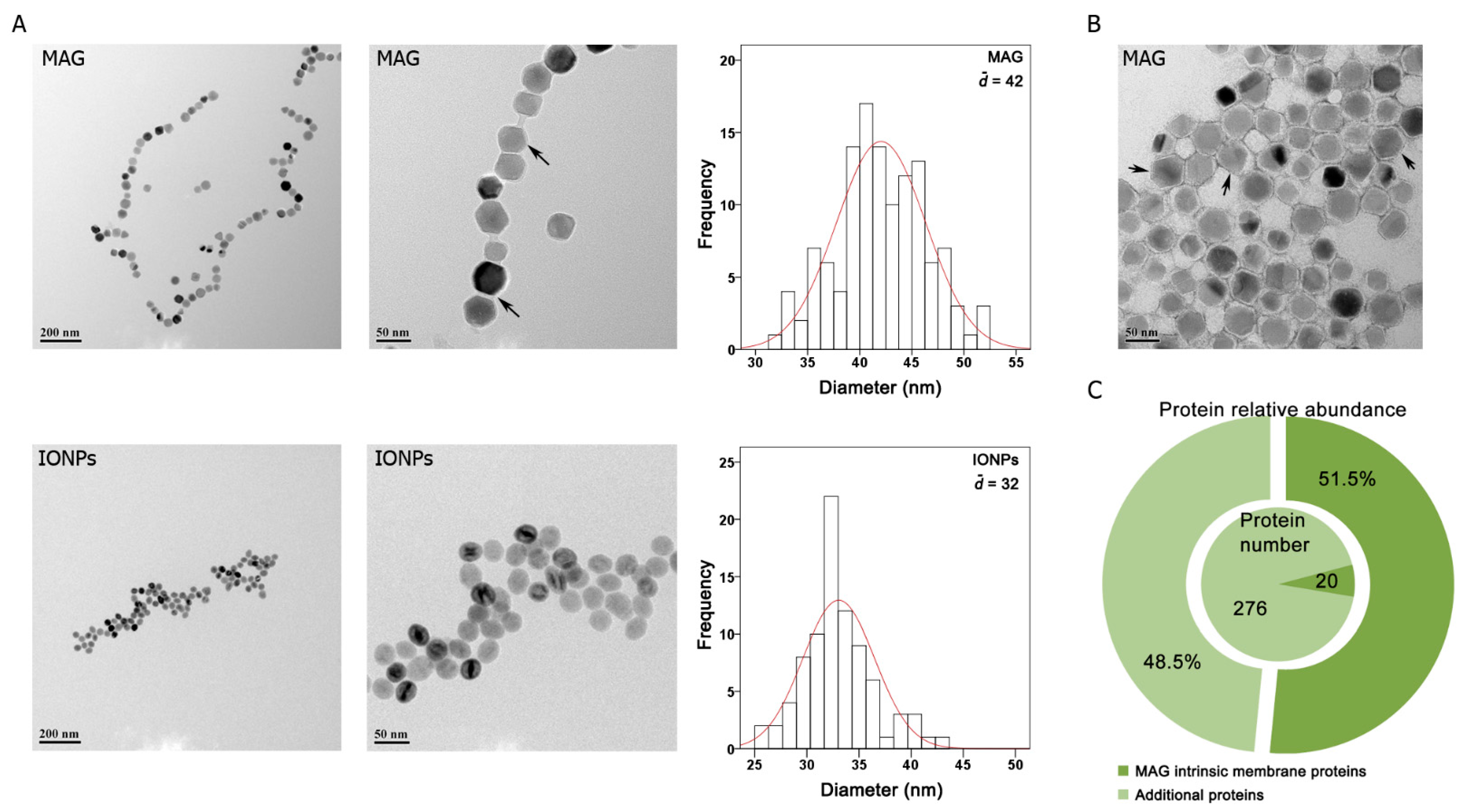 Nanomaterials 12 03995 g001 Nanomaterials 12 03995 g001