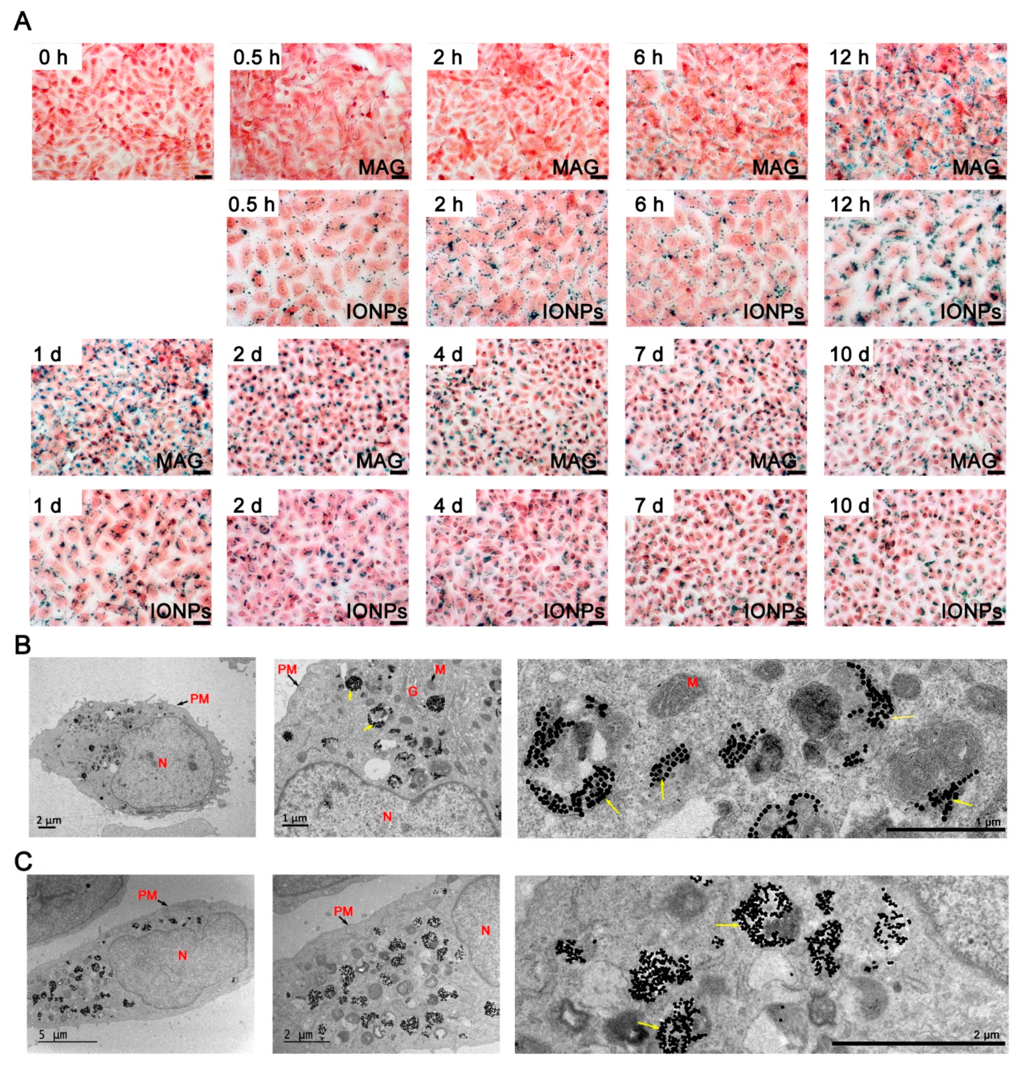 Nanomaterials 12 03995 g003 Nanomaterials 12 03995 g003