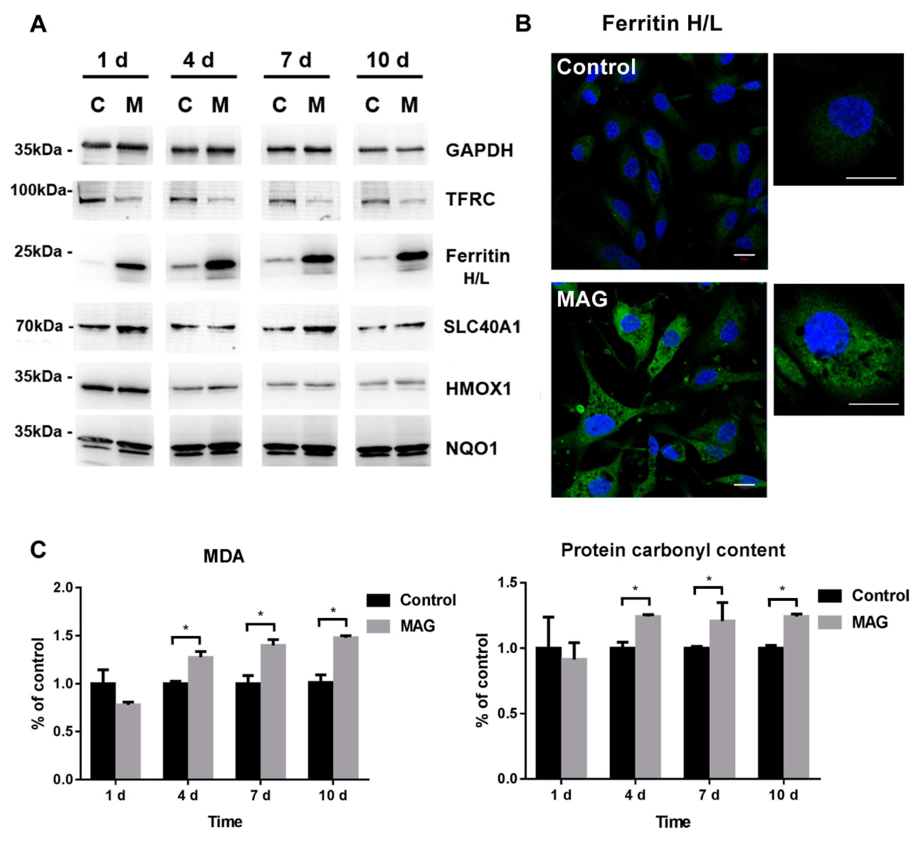 Nanomaterials 12 03995 g006 Nanomaterials 12 03995 g006