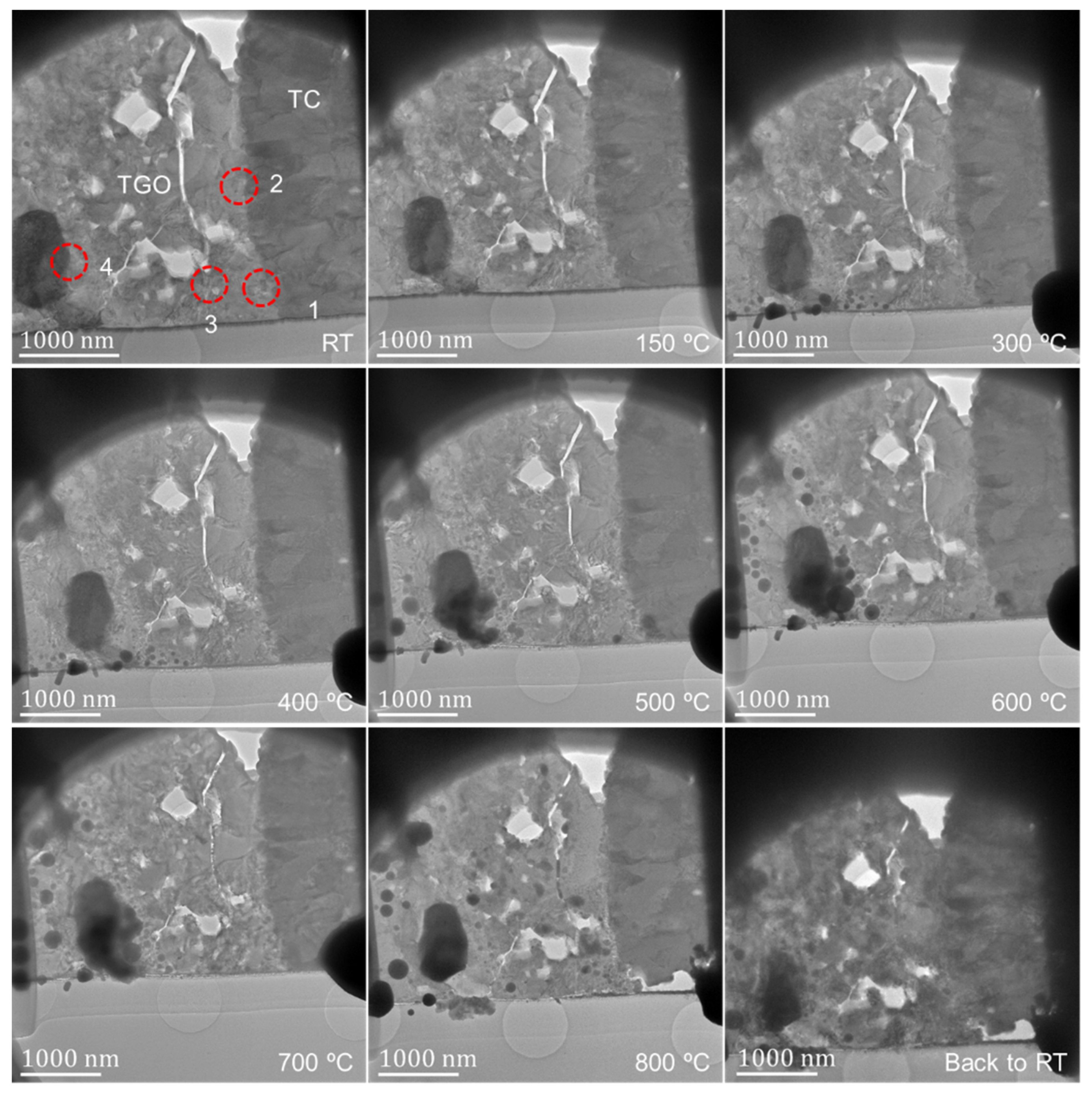 Nanomaterials 12 04020 g004
