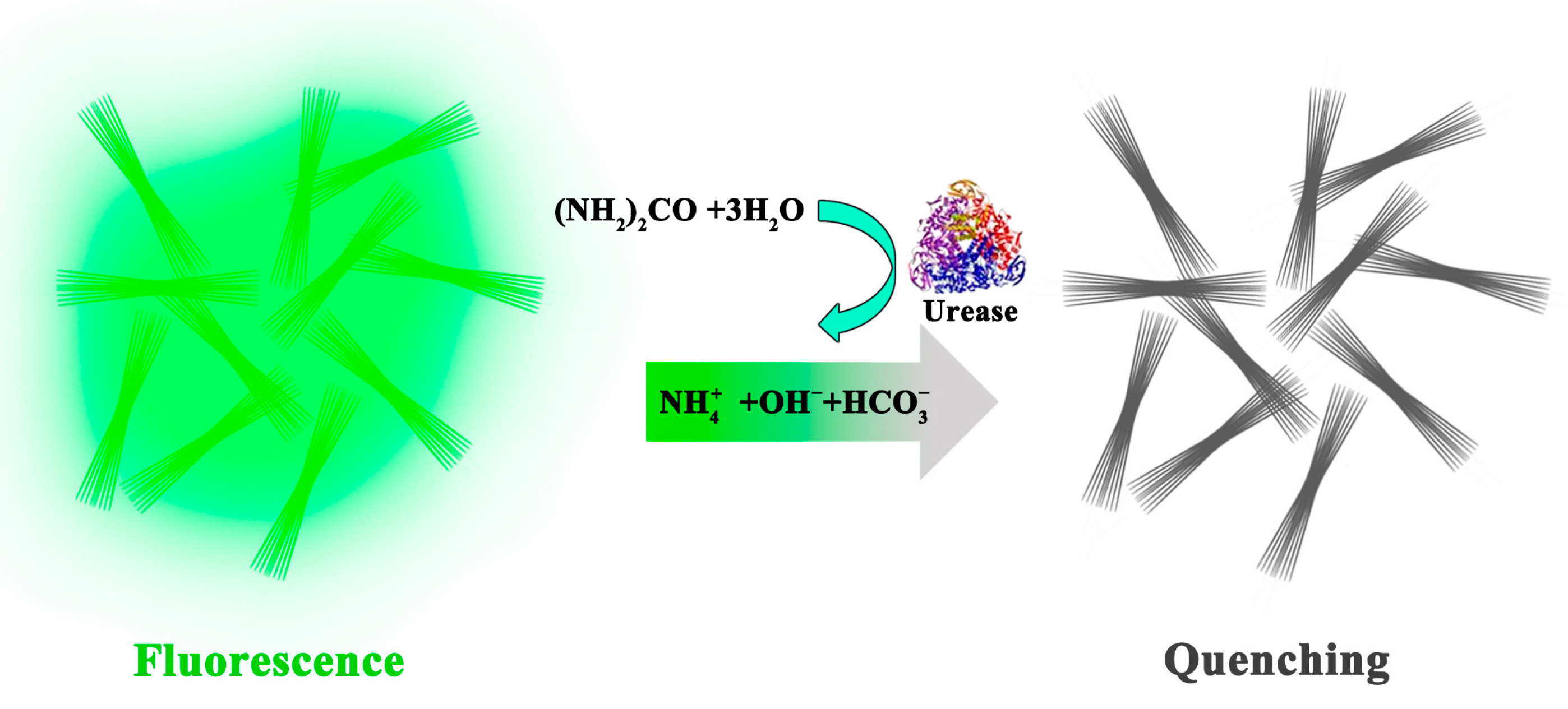 Nanomaterials 12 04023 sch001 Nanomaterials 12 04023 sch001