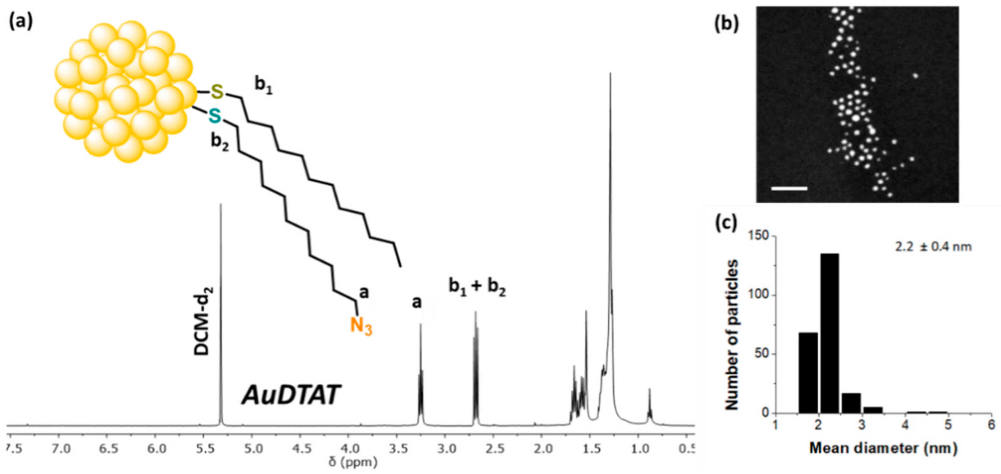 Nanomaterials 12 04026 g001 Nanomaterials 12 04026 g001