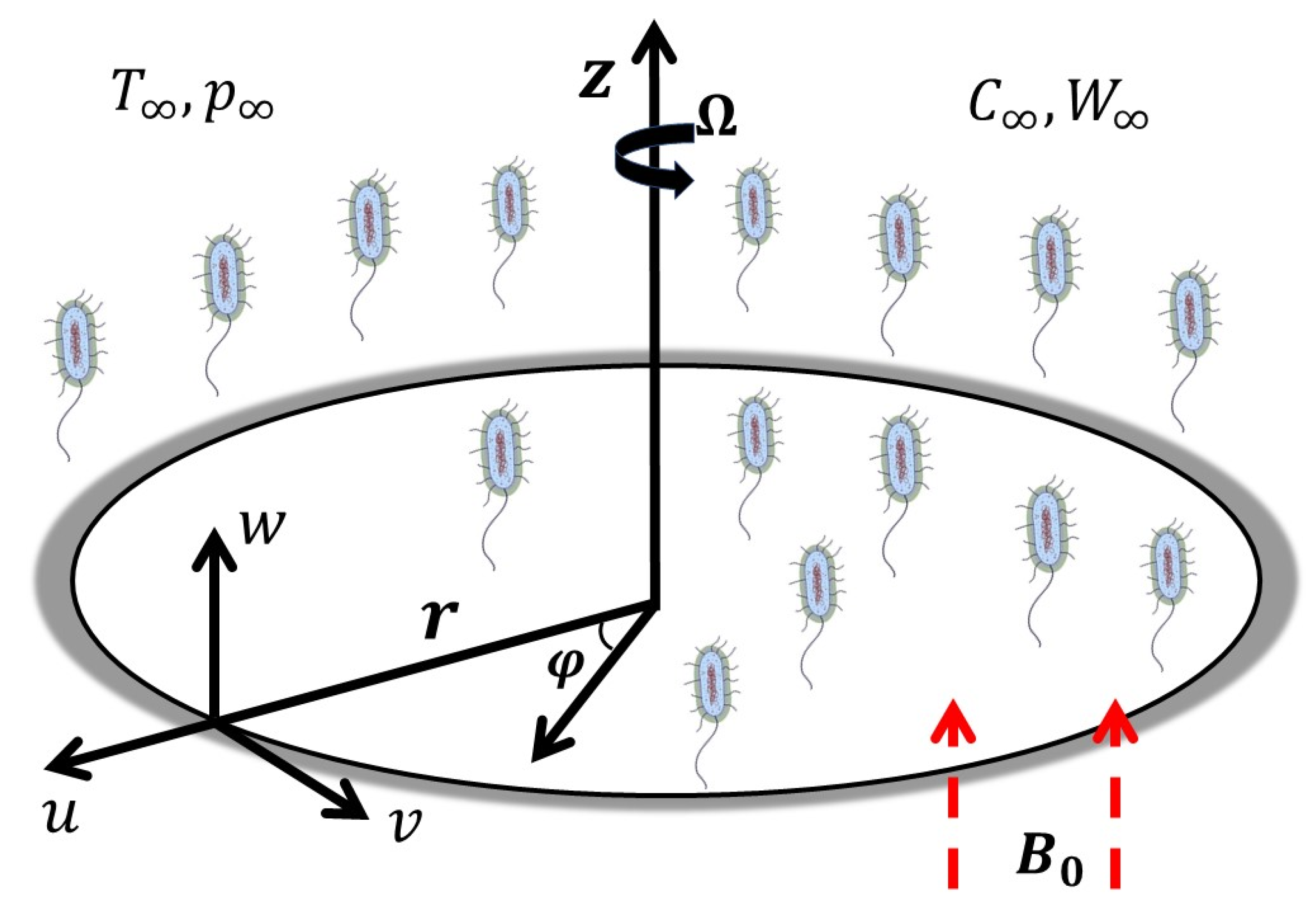 Nanomaterials 12 04027 g001 Nanomaterials 12 04027 g001