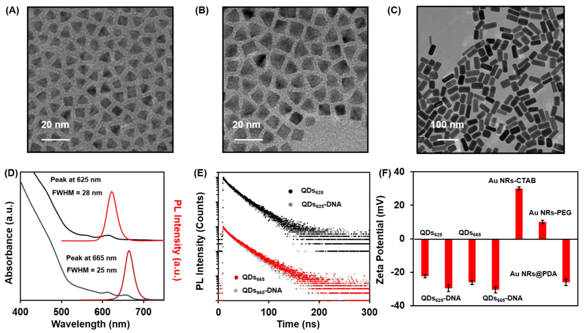 Nanomaterials 12 04031 g001