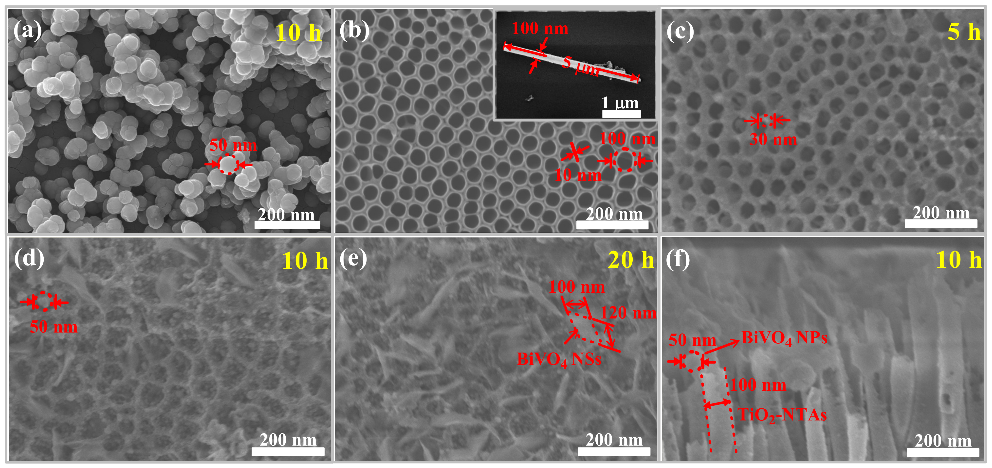 Nanomaterials 12 04042 g002
