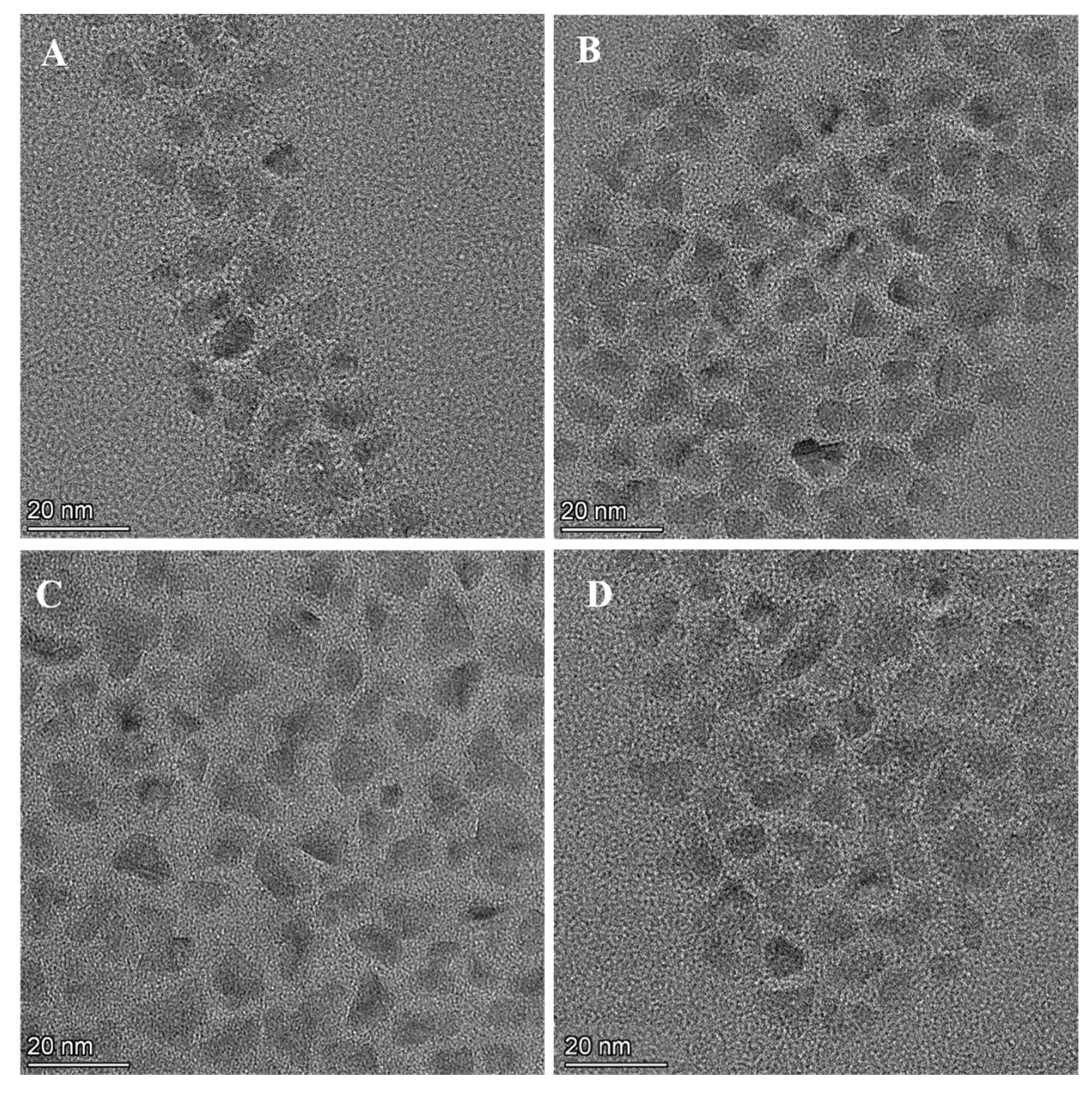 Nanomaterials 12 04044 g002
