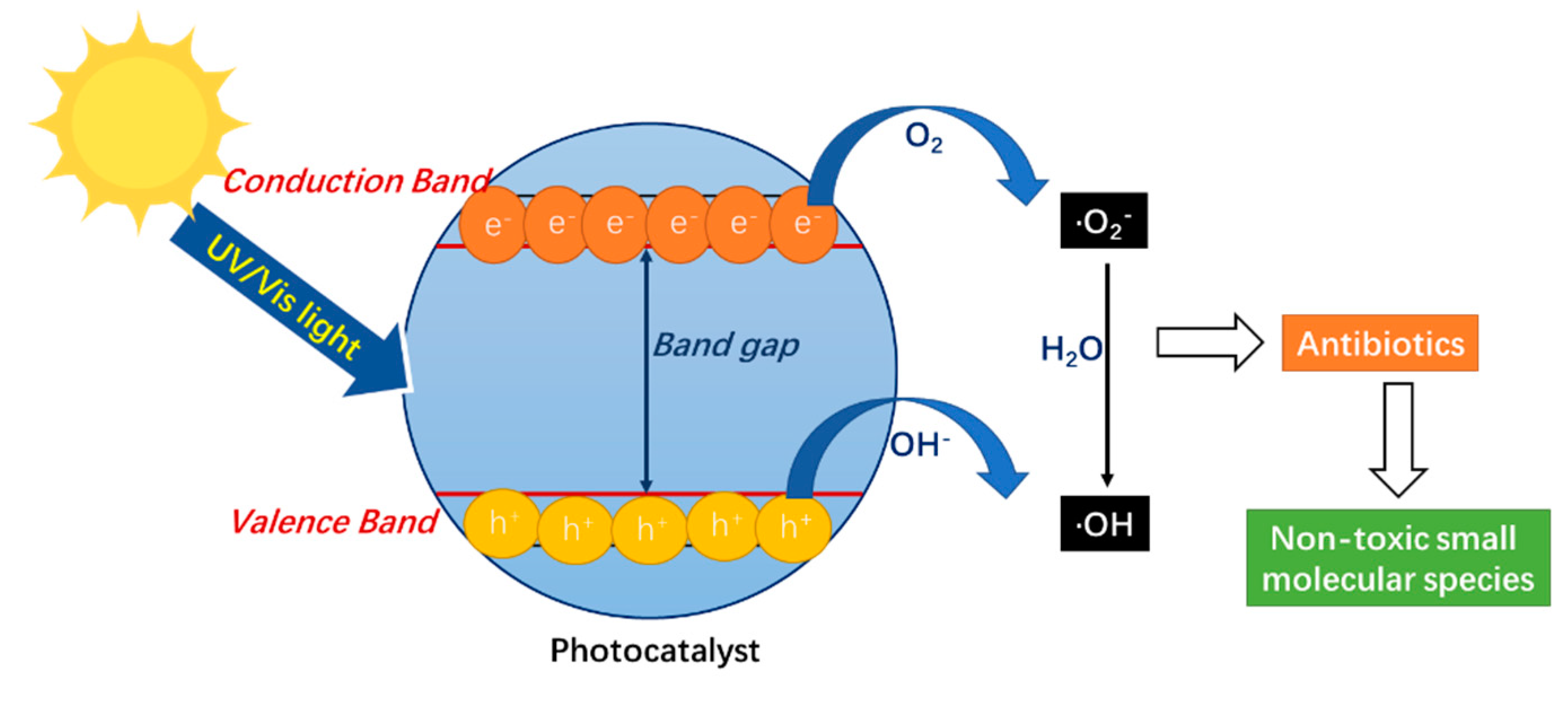 Nanomaterials 12 04045 g003