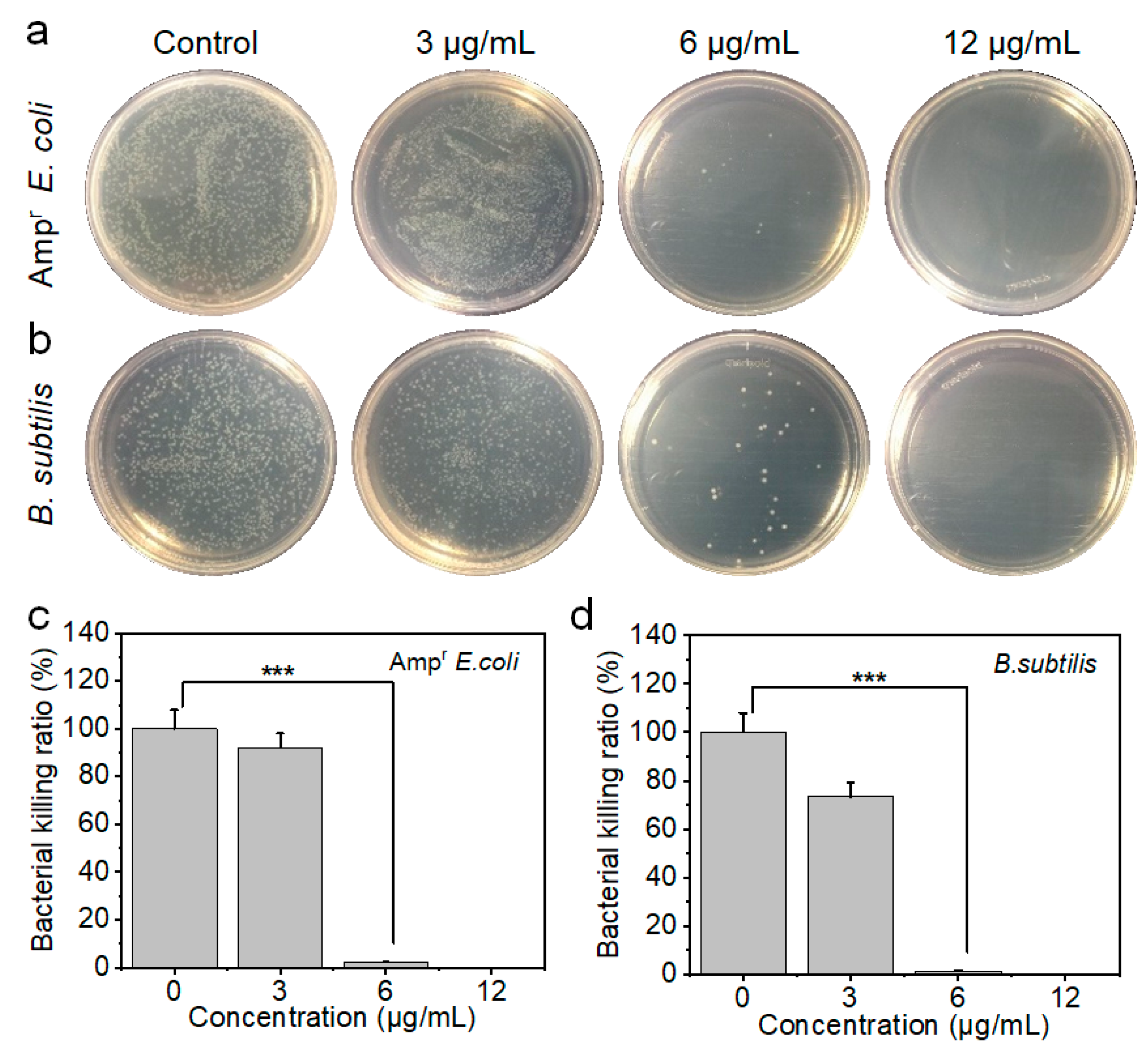 Nanomaterials 12 04058 g003