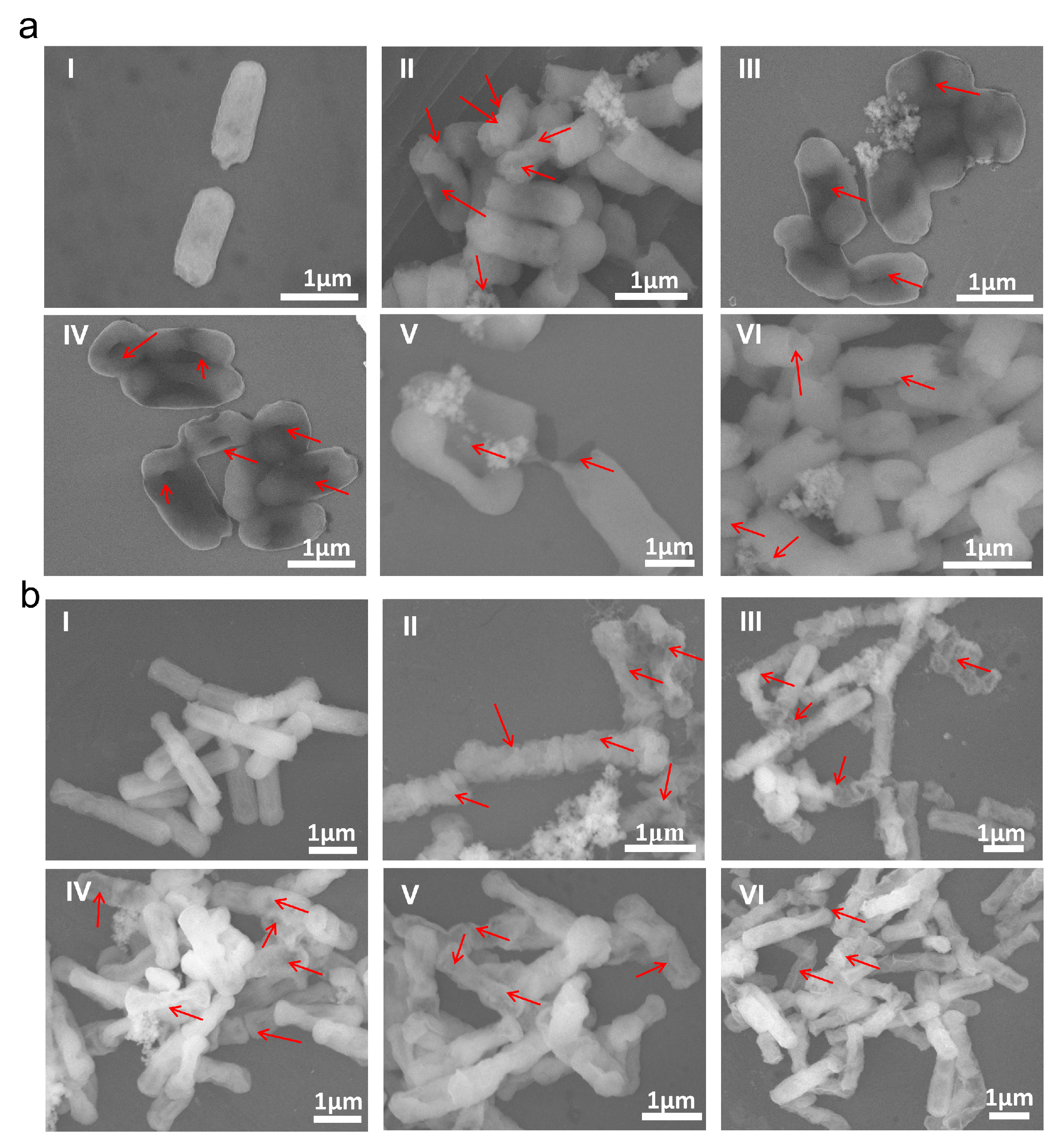 Nanomaterials 12 04058 g004