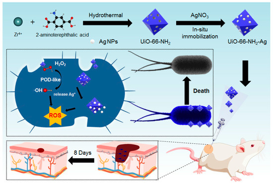 Ag-Activated Metal−Organic Framework with Peroxidase-like