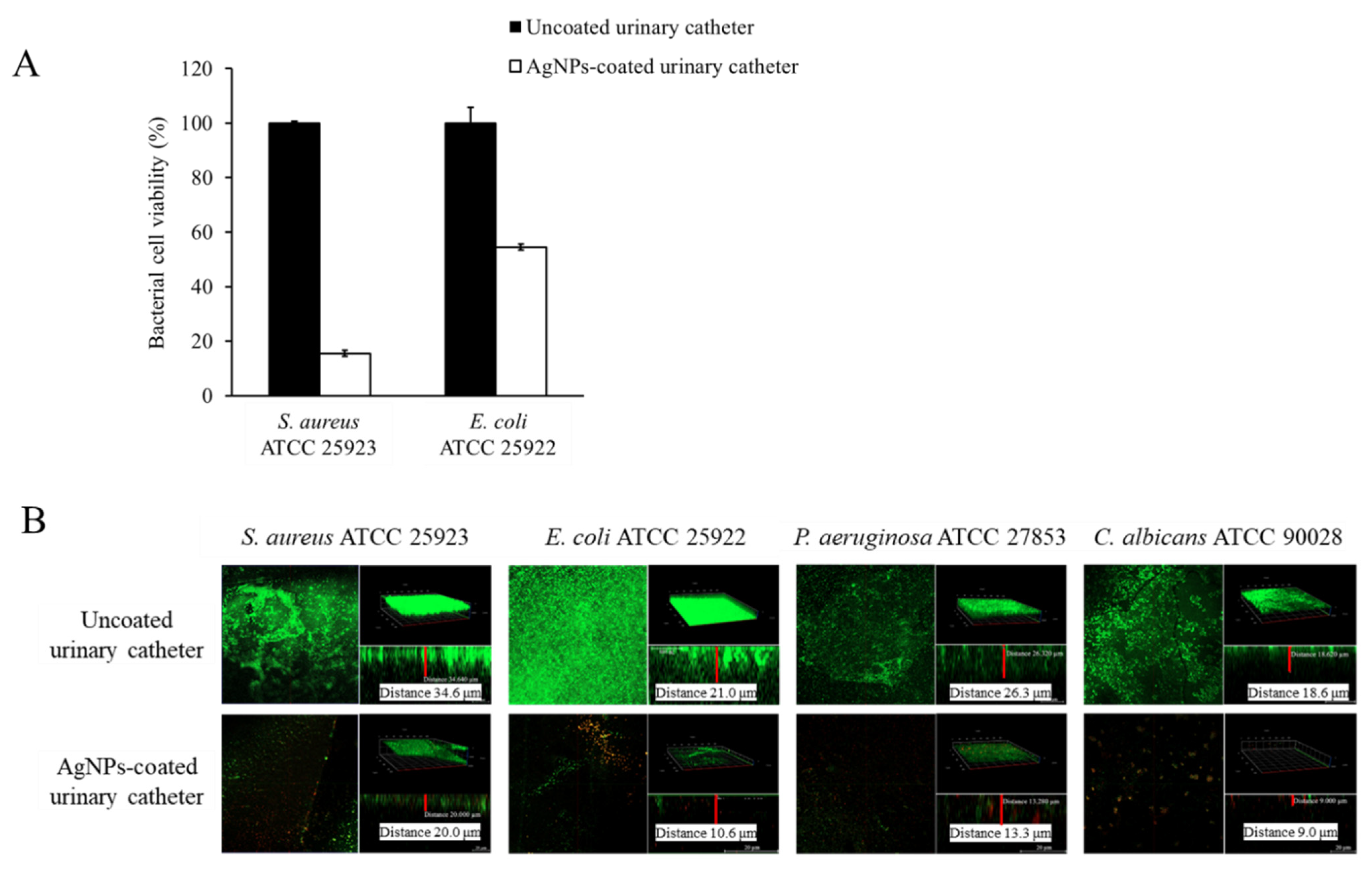 Nanomaterials 12 04059 g005 Nanomaterials 12 04059 g005