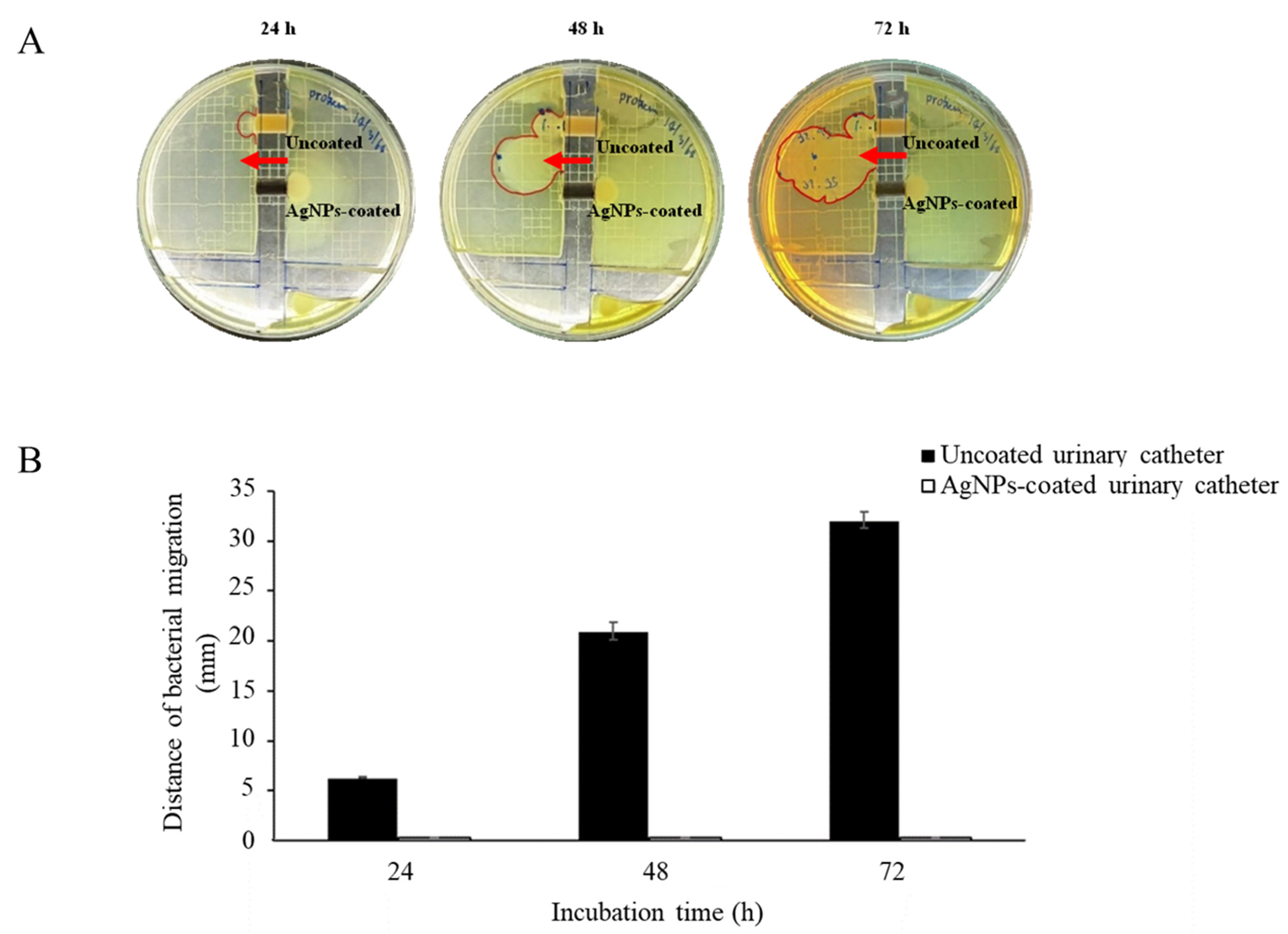 Nanomaterials 12 04059 g006 Nanomaterials 12 04059 g006