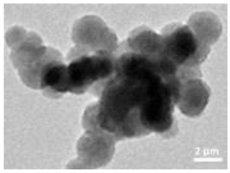 Nanomaterials 12 04060 i001 Nanomaterials 12 04060 i001