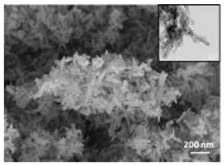 Nanomaterials 12 04060 i003 Nanomaterials 12 04060 i003