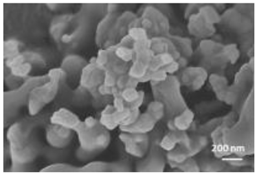 Nanomaterials 12 04060 i004 Nanomaterials 12 04060 i004