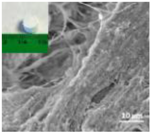 Nanomaterials 12 04060 i006 Nanomaterials 12 04060 i006