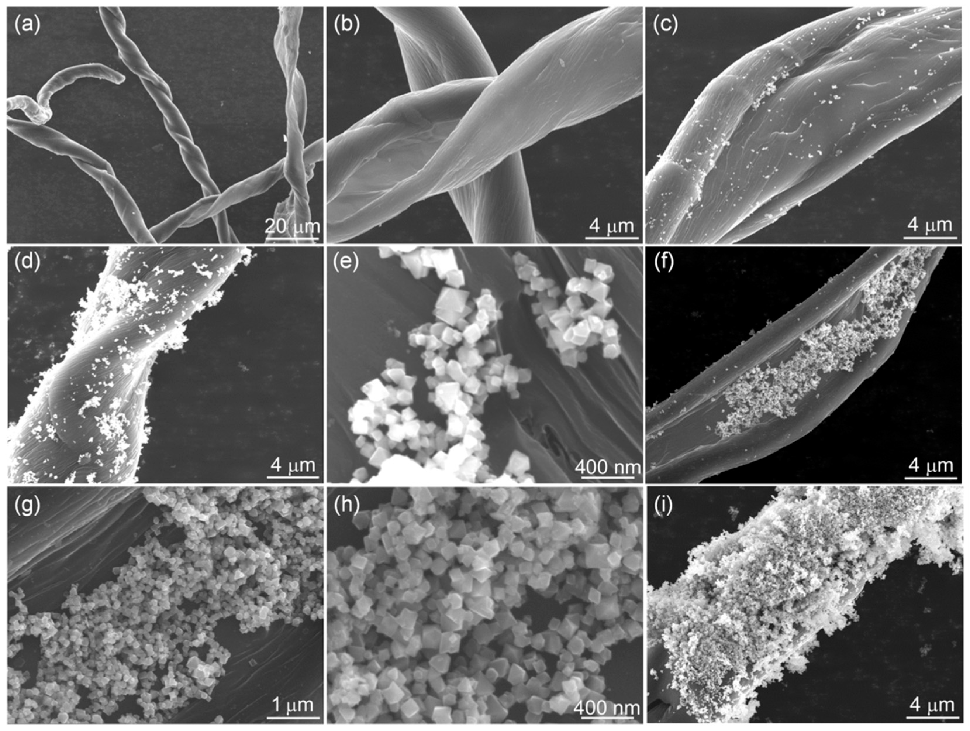 Nanomaterials 12 04063 g002 Nanomaterials 12 04063 g002