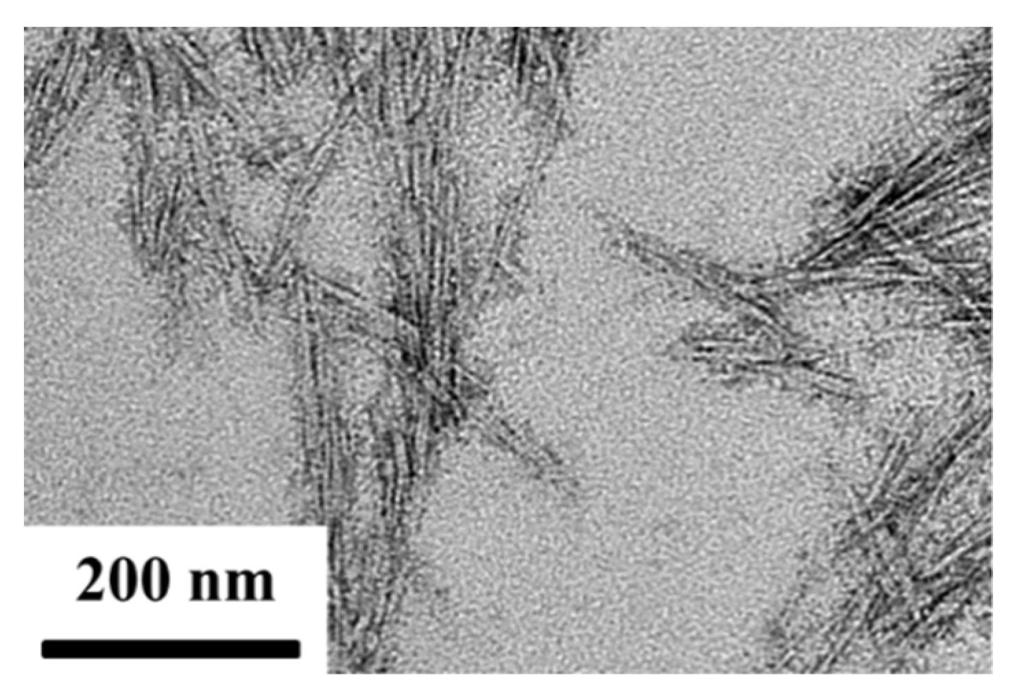 Nanomaterials 12 04064 g001