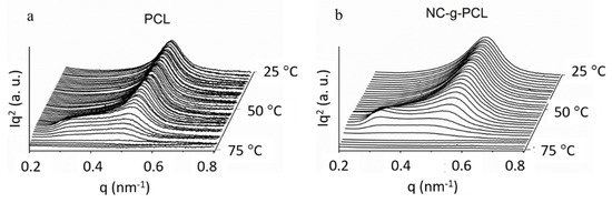 Bio-Catalysis for the Functionalization of Cellulose Nanocrystals