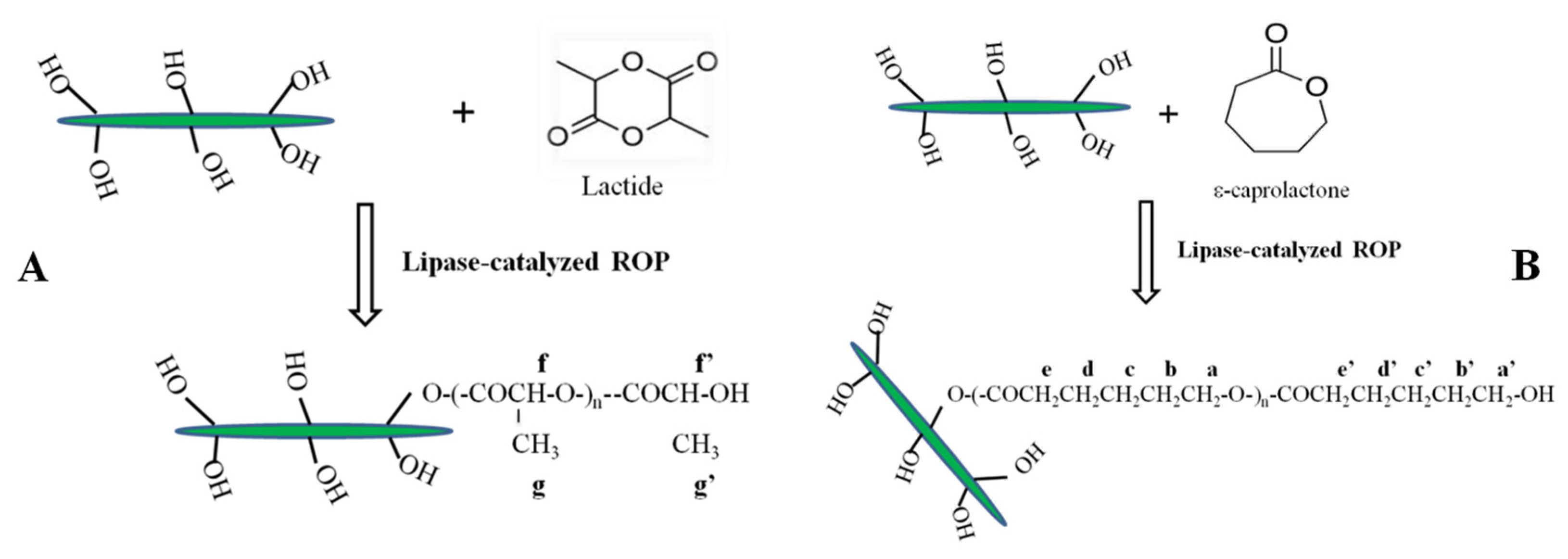 Nanomaterials 12 04064 sch001