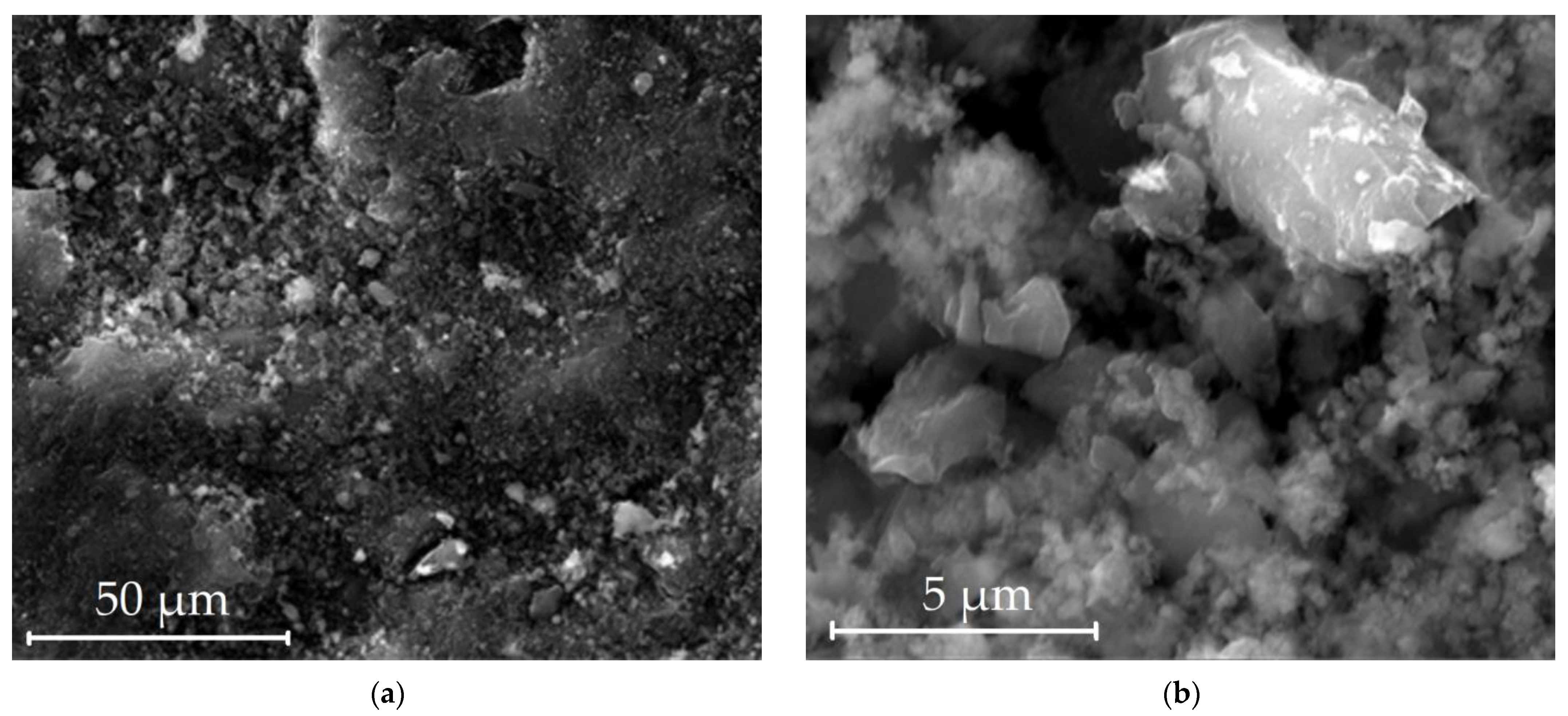 Nanomaterials 12 04066 g004