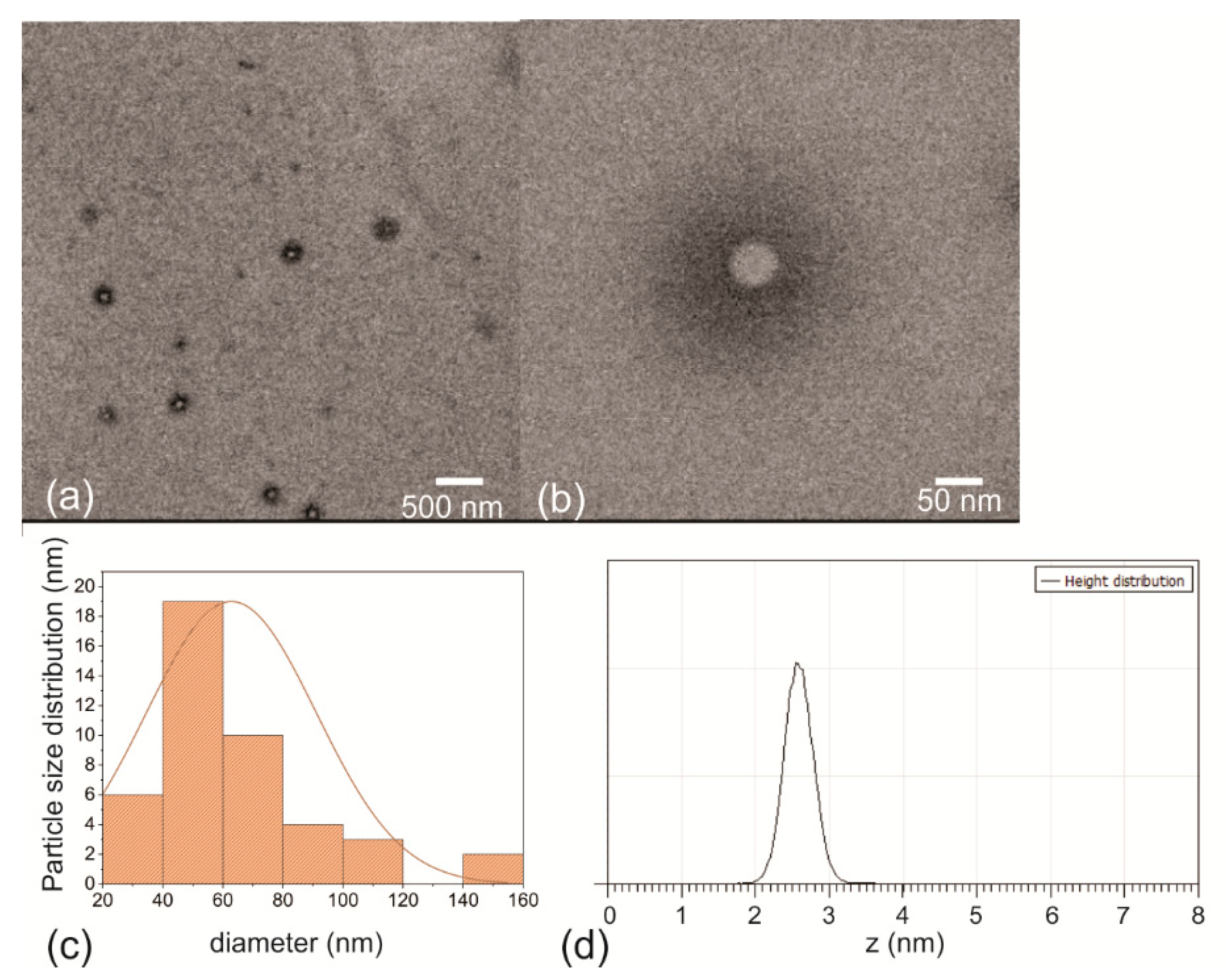Nanomaterials 12 04070 g002