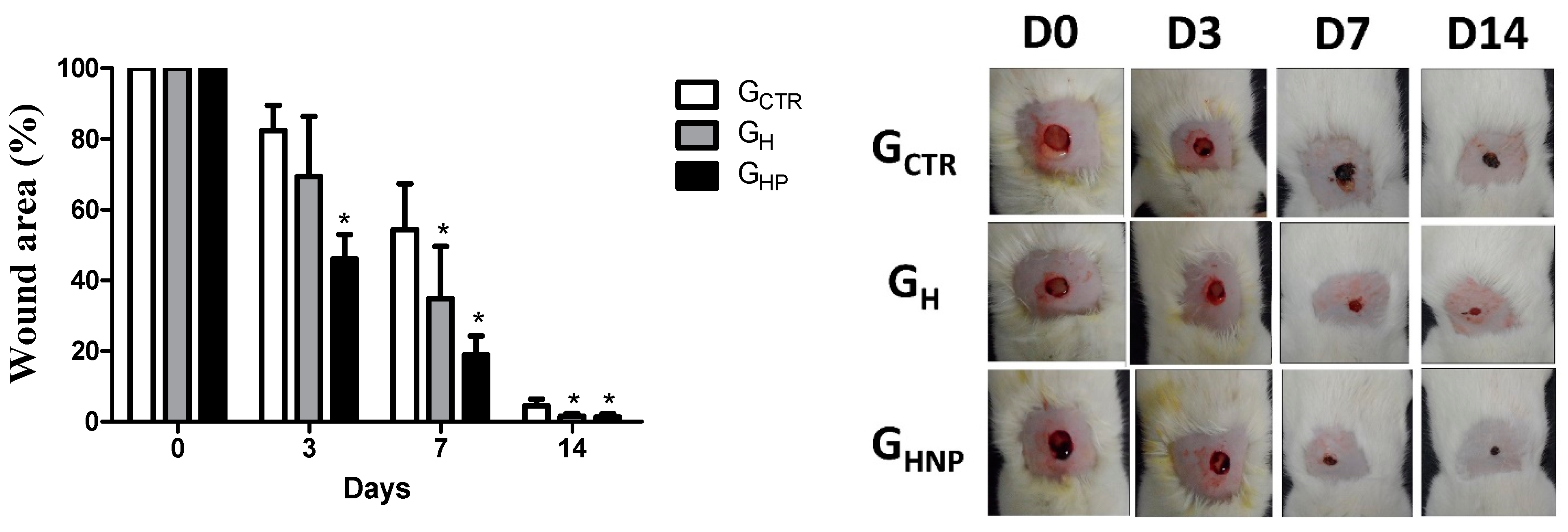 Nanomaterials 12 04071 g001 Nanomaterials 12 04071 g001