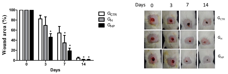 Nanomaterials 12 04071 i001 Nanomaterials 12 04071 i001